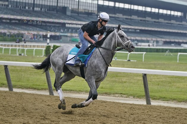 Essential Quality trains ahead of the 153rd running of the Belmont Stakes horse race in Elmont, N.Y., Thursday, June 3, 2021. (AP Photo/Seth Wenig)