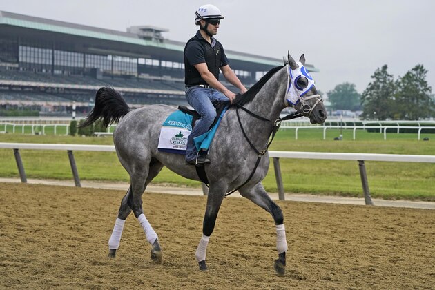 Essential Quality trains ahead of the 153rd running of the Belmont Stakes horse race in Elmont, N.Y., Thursday, June 3, 2021. (AP Photo/Seth Wenig)