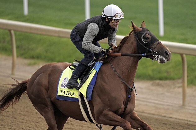 Kentucky Derby entrant Taiba works out at Churchill Downs Wednesday, May 4, 2022, in Louisville, Ky. The 148th running of the Kentucky Derby is scheduled for Saturday, May 7. (AP Photo/Charlie Riedel)