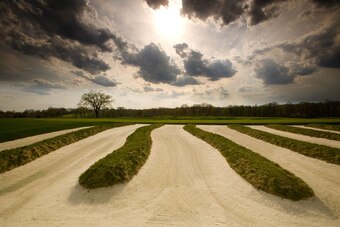 "Church Pews" bunker Oakmont Country Club