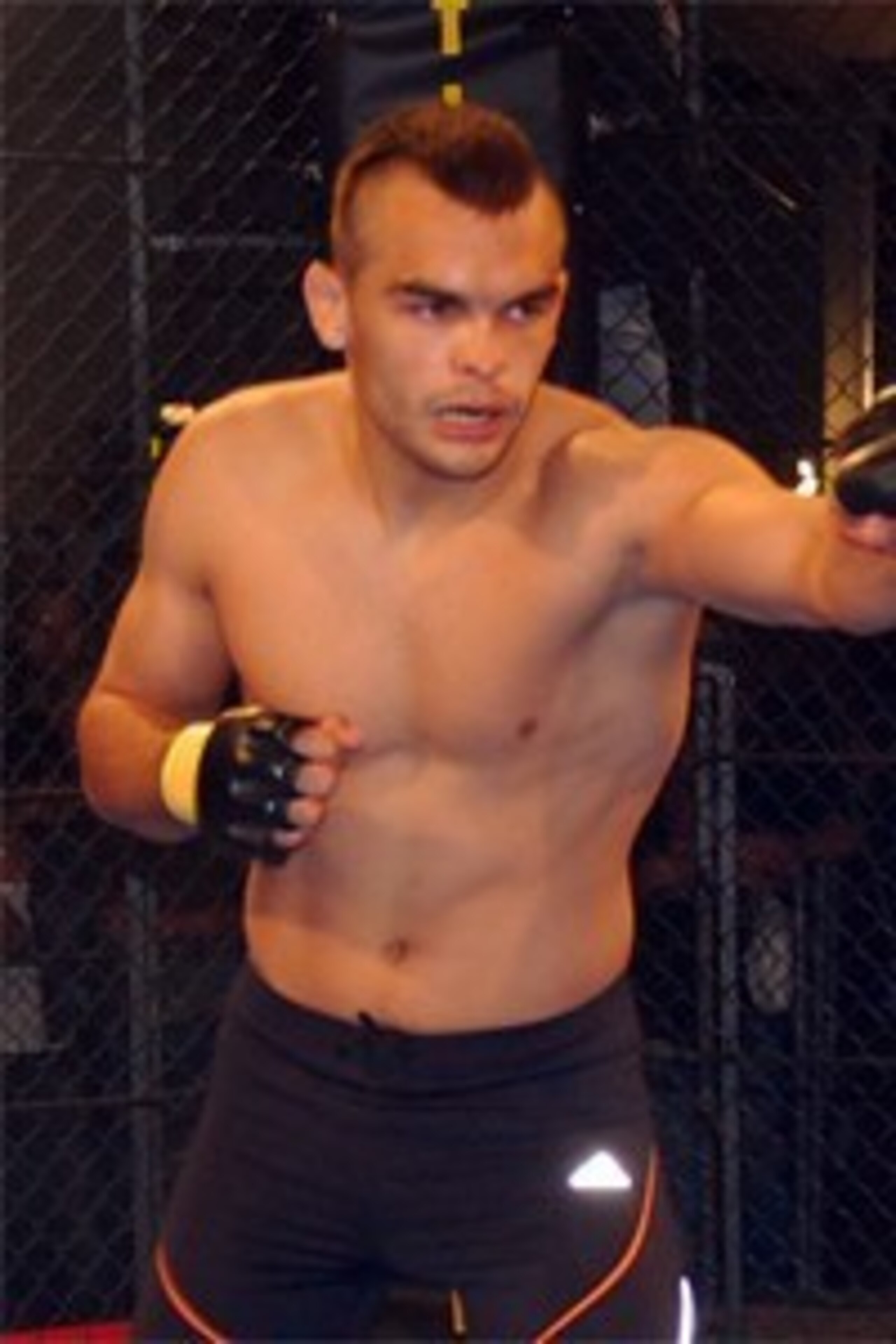 sherdog.com