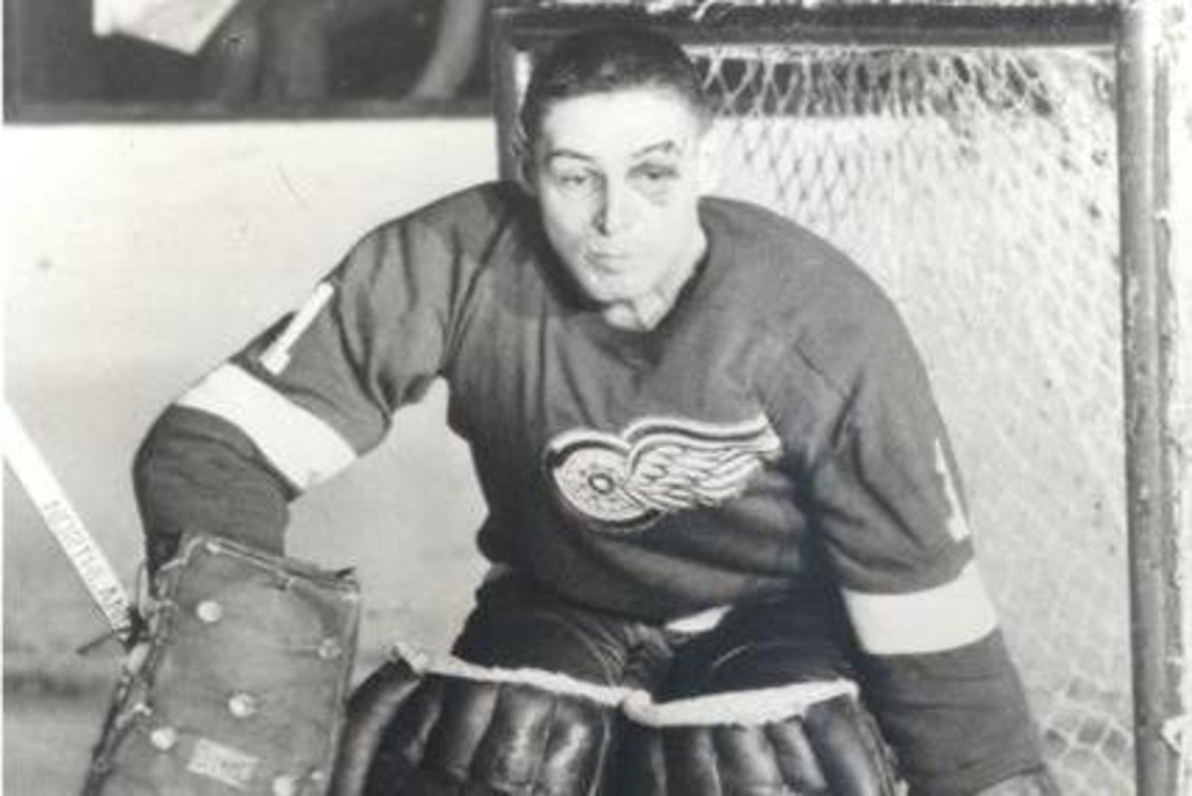 Photo courtesy of redwings.nhl.com