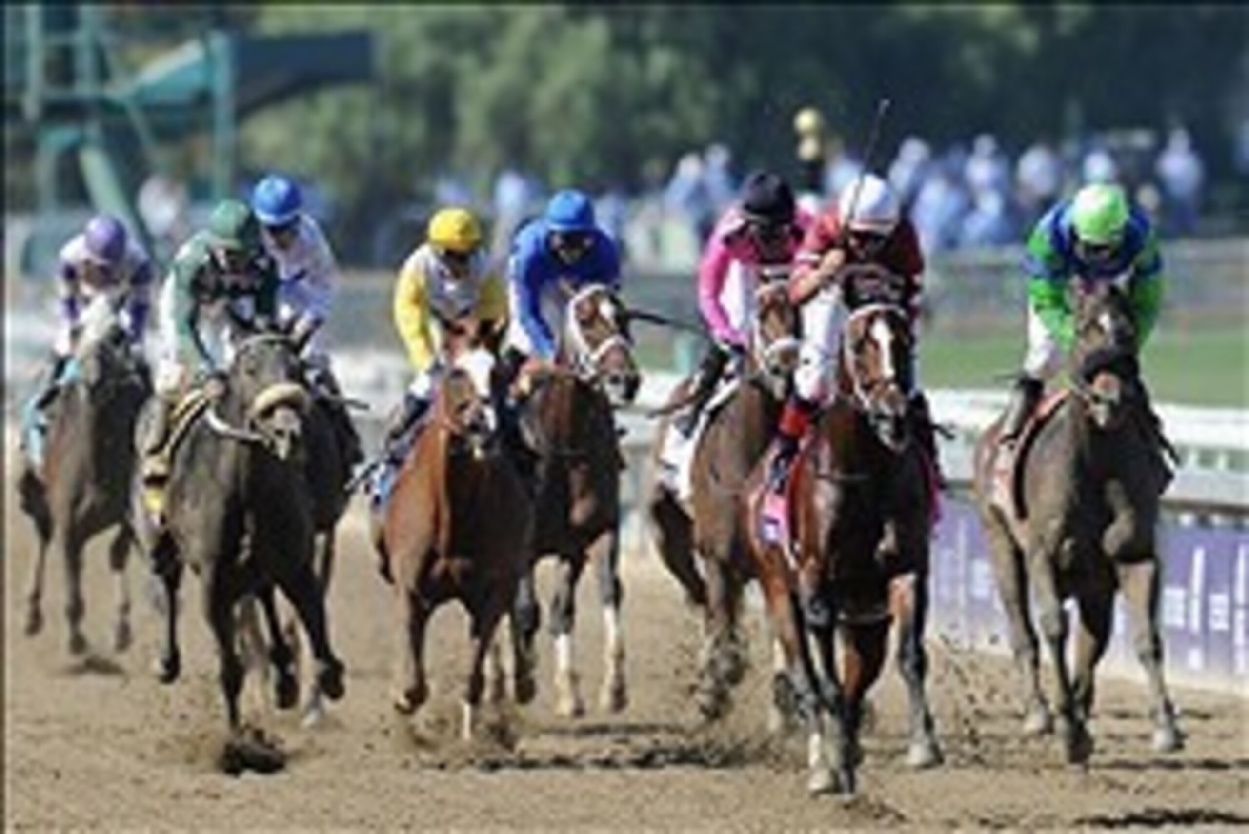 Nine Breeders' Cup champions are back in 2013