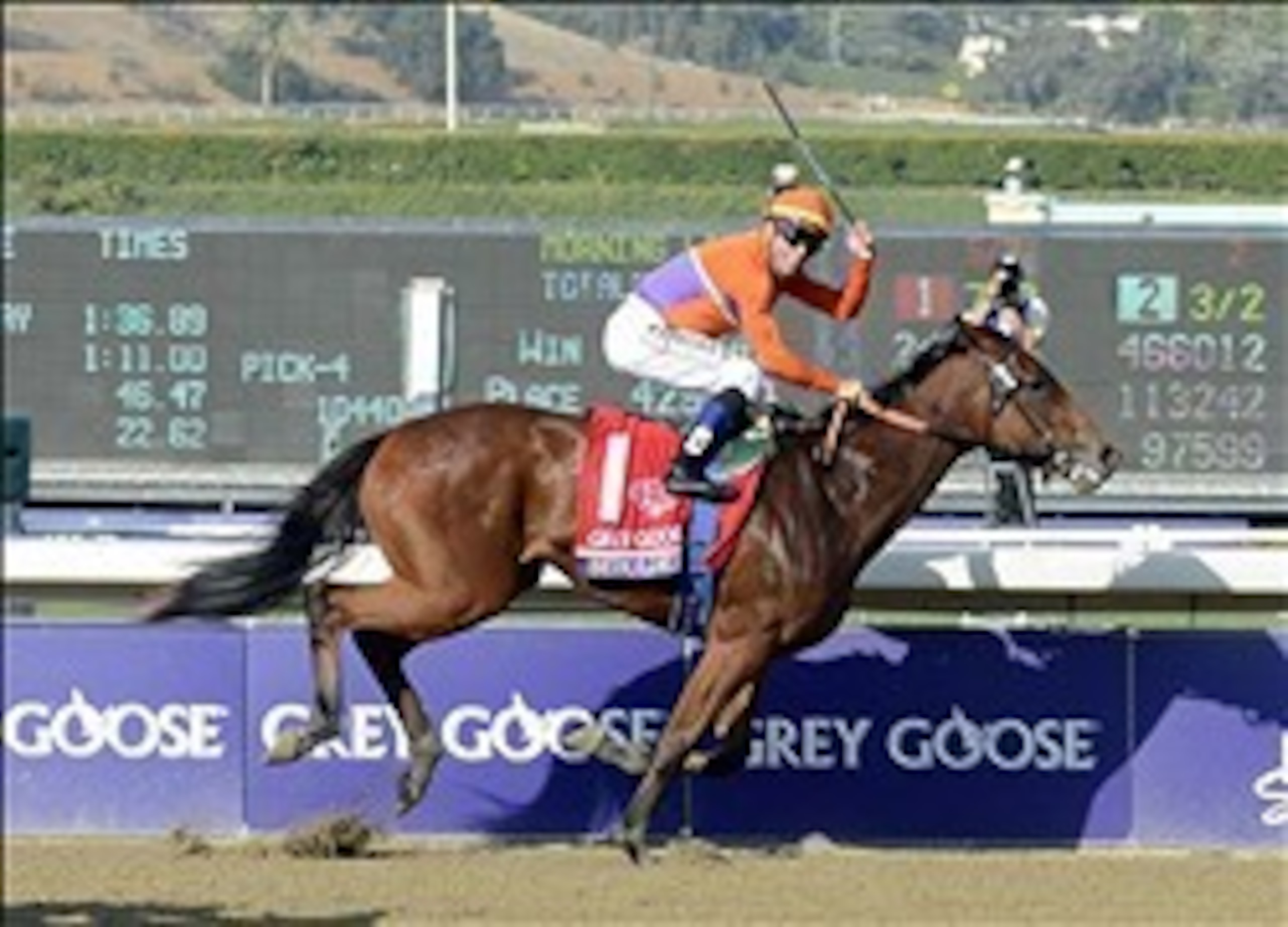 November 2, 2012; Arcadia, CA, USA; Garrett Gomez aboard Beholder crosses the finish line to win race seven of the 2012 Breeders' Cup Championship at Santa Anita Park. Mandatory Credit: Richard Mackson-USA TODAY Sports