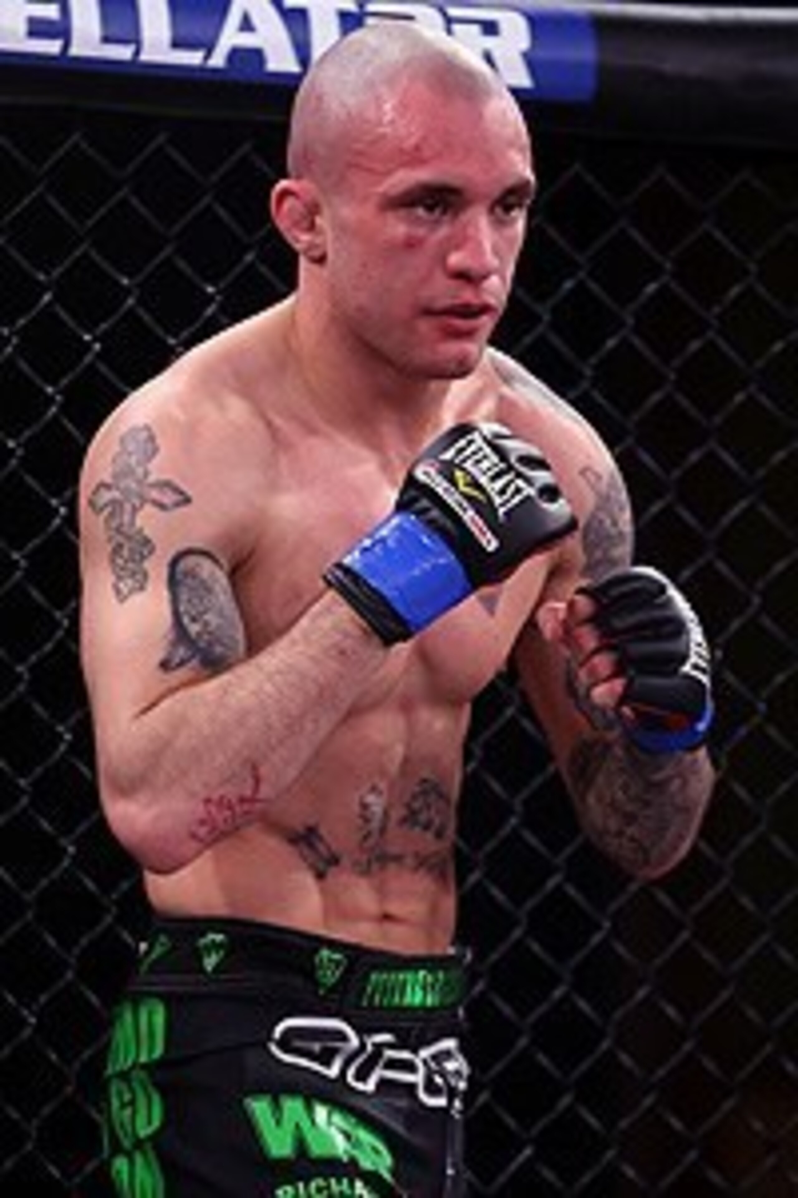 sherdog.com