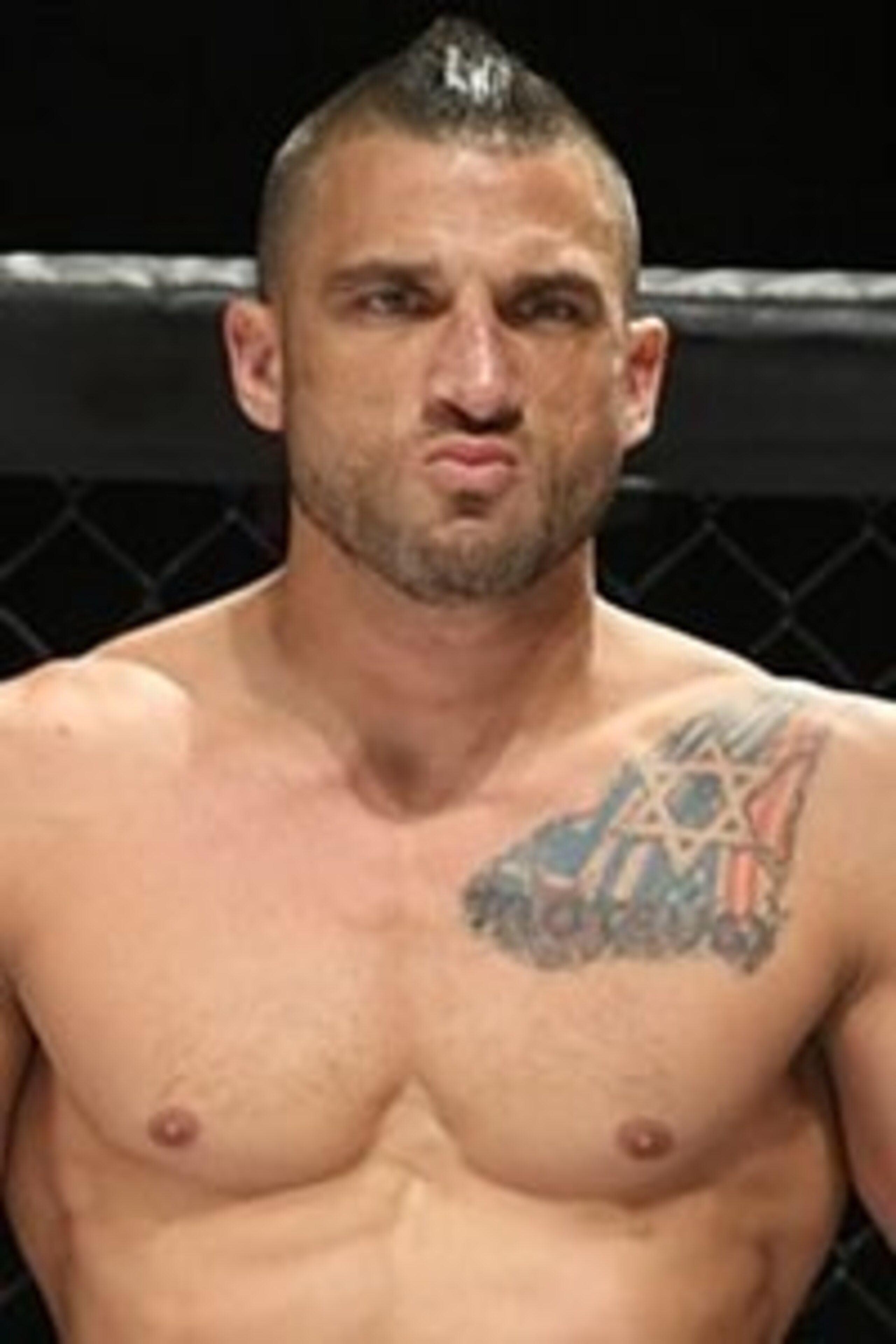 sherdog.com