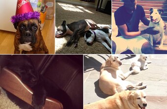 Instagram: husky4lyfe22, camatkinson12, torreysmithwr, tonyjefferson1, agally94, peteypipes