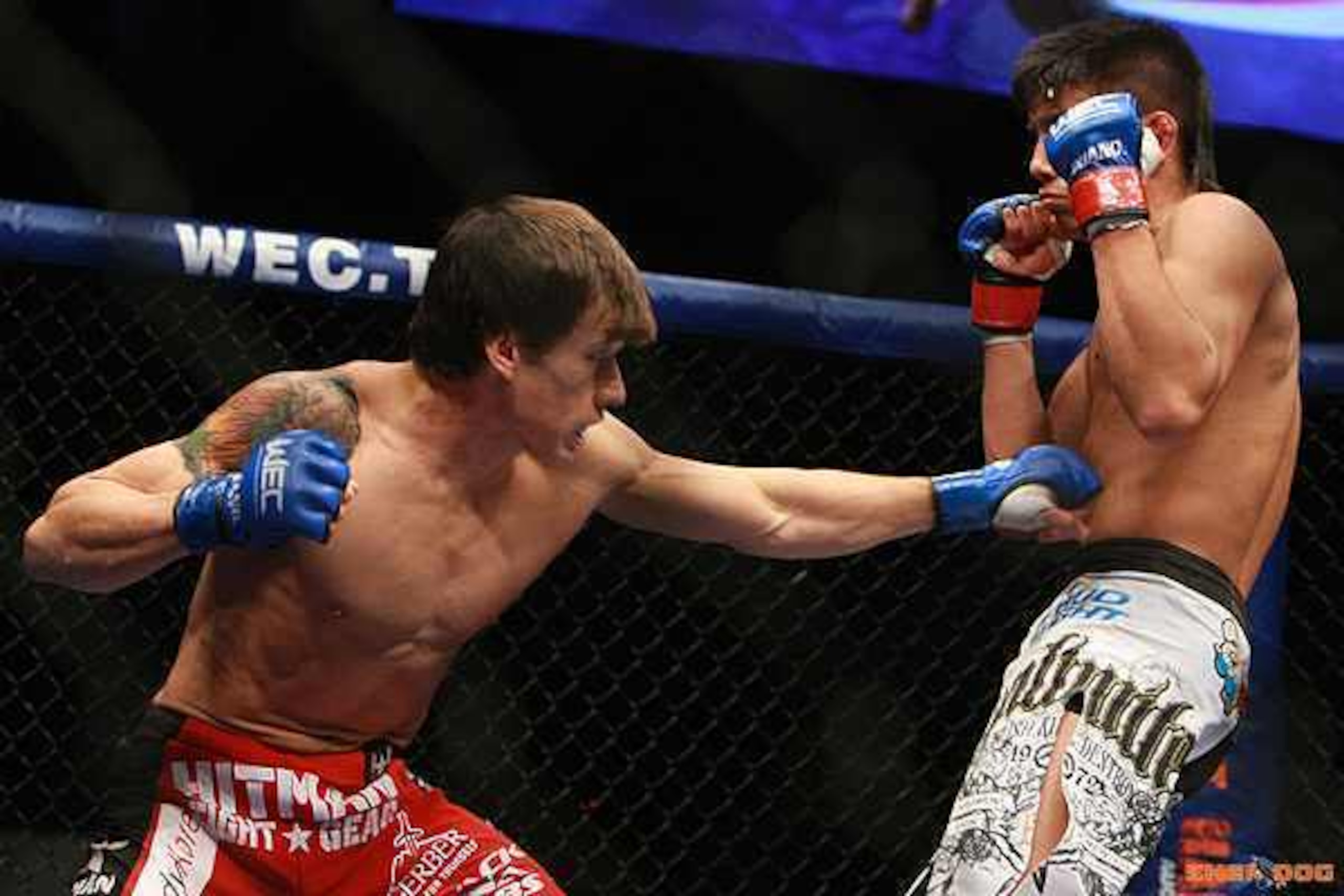 Bowles vs. Torres