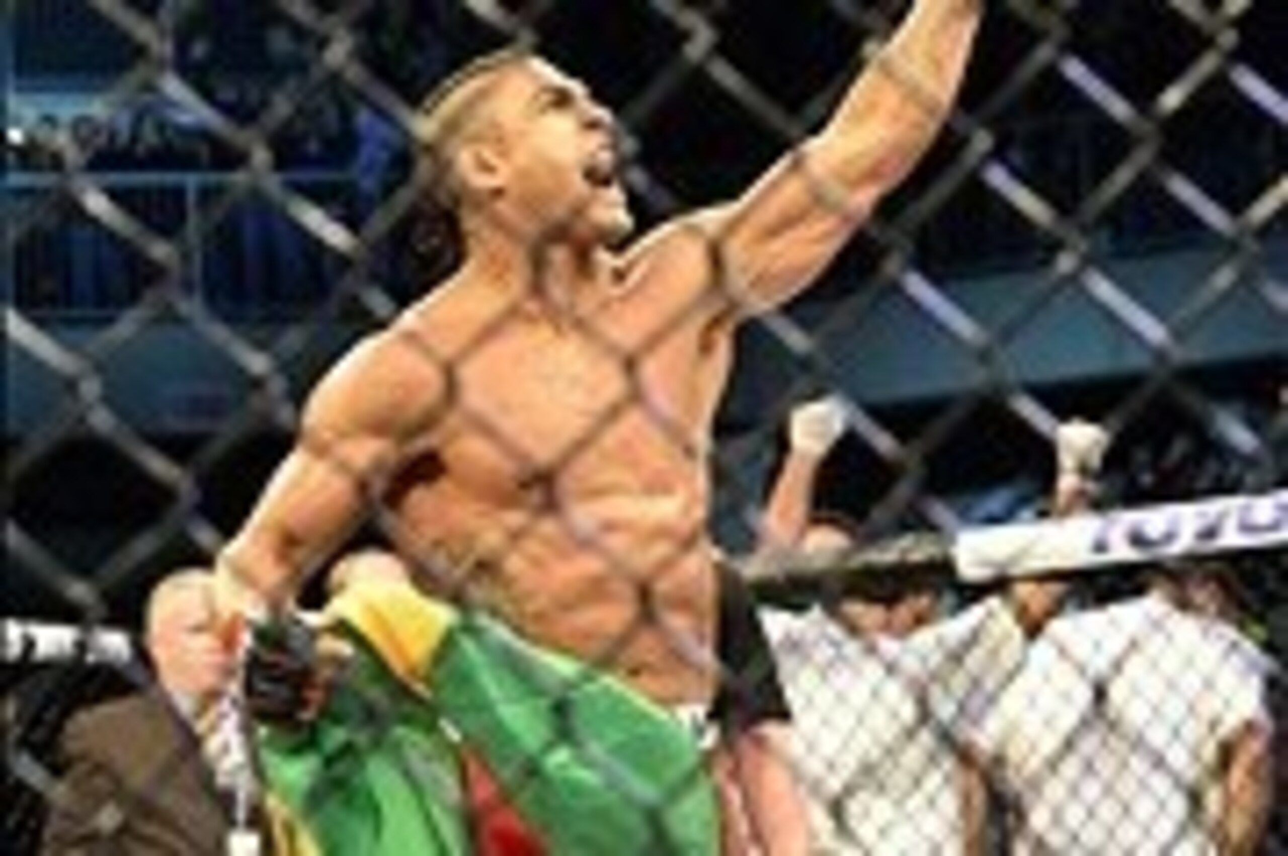 UFC light heavyweight Vitor Belfort