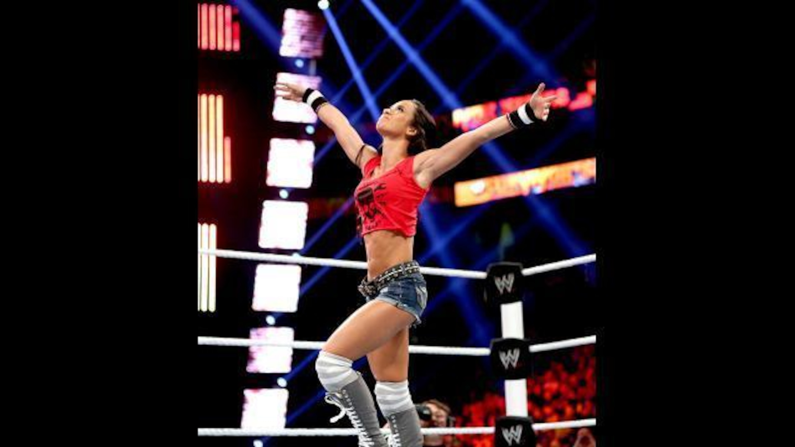 AJ Lee, despite losing at Survivor Series, remains the Divas Champion.
