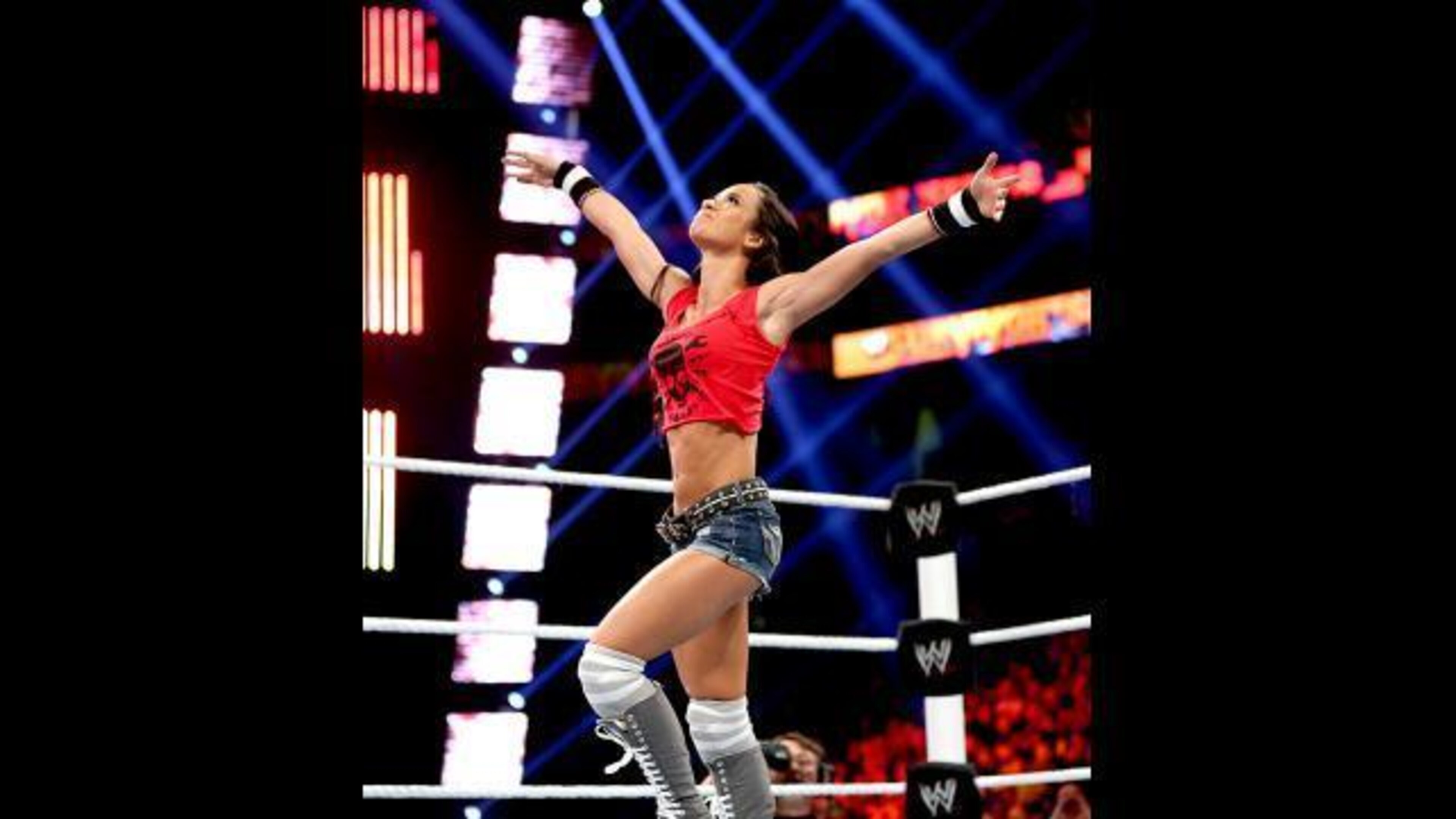 AJ Lee, despite losing at Survivor Series, remains the Divas Champion.