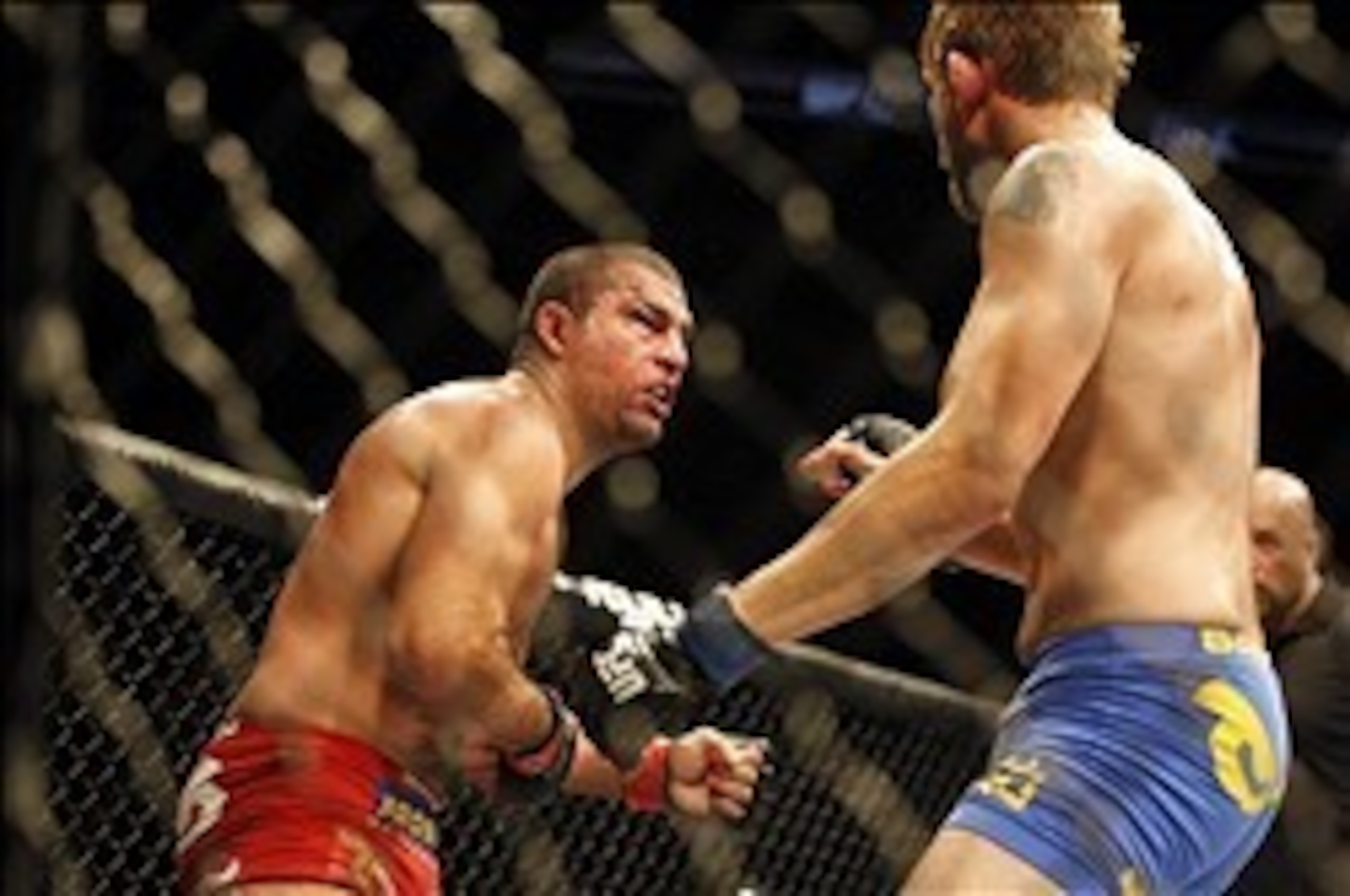 Shogun was in vintage form. Shogun was in vintage form.