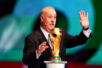 Spain coach Vicente del Bosque