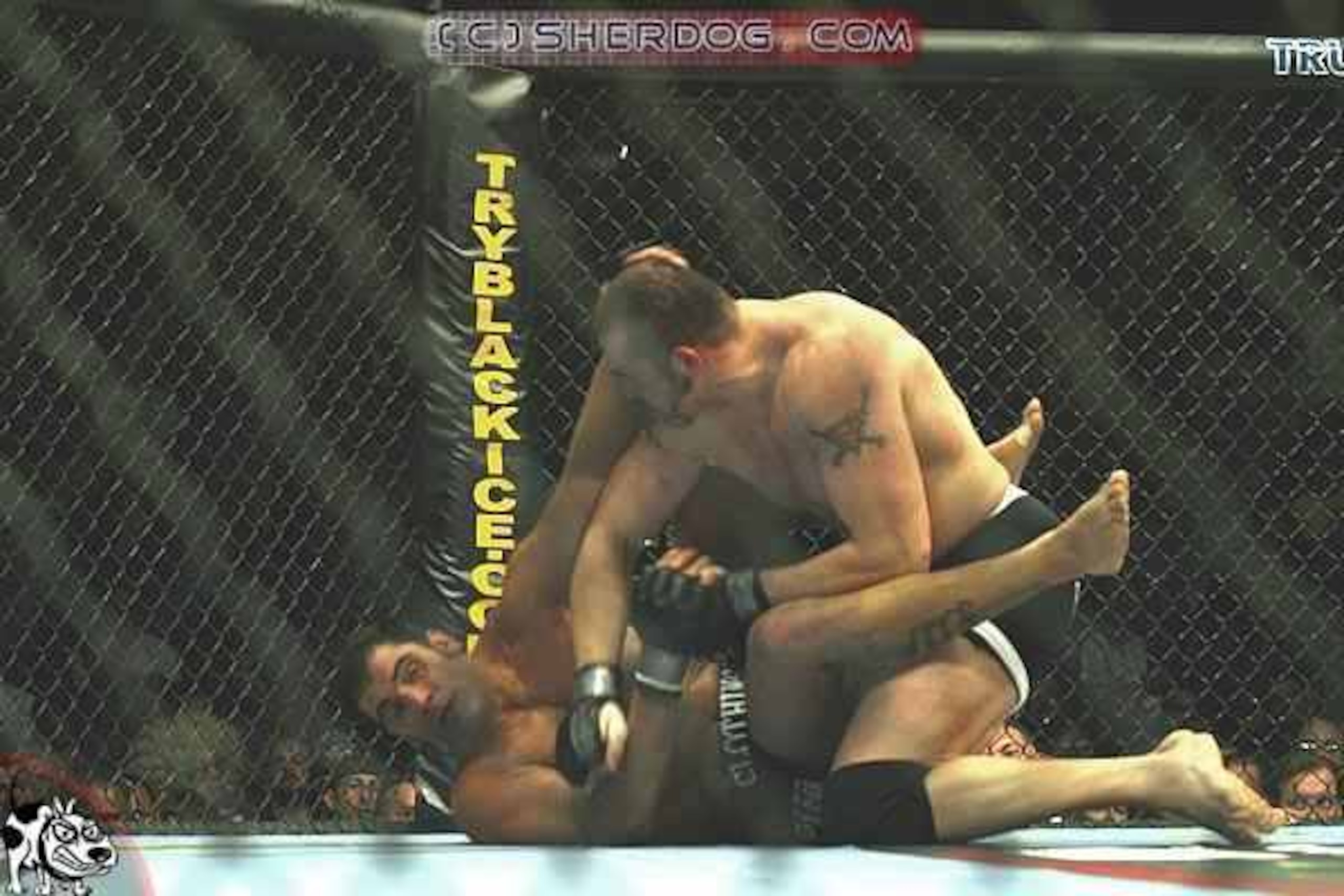 Tim Sylvia hammers Ricco Rodriguez