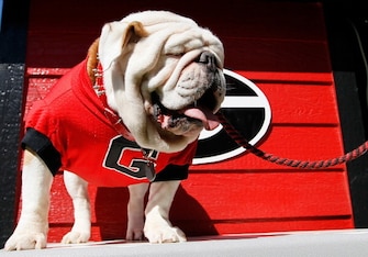 Don't mess with the Bulldogs in Sanford.