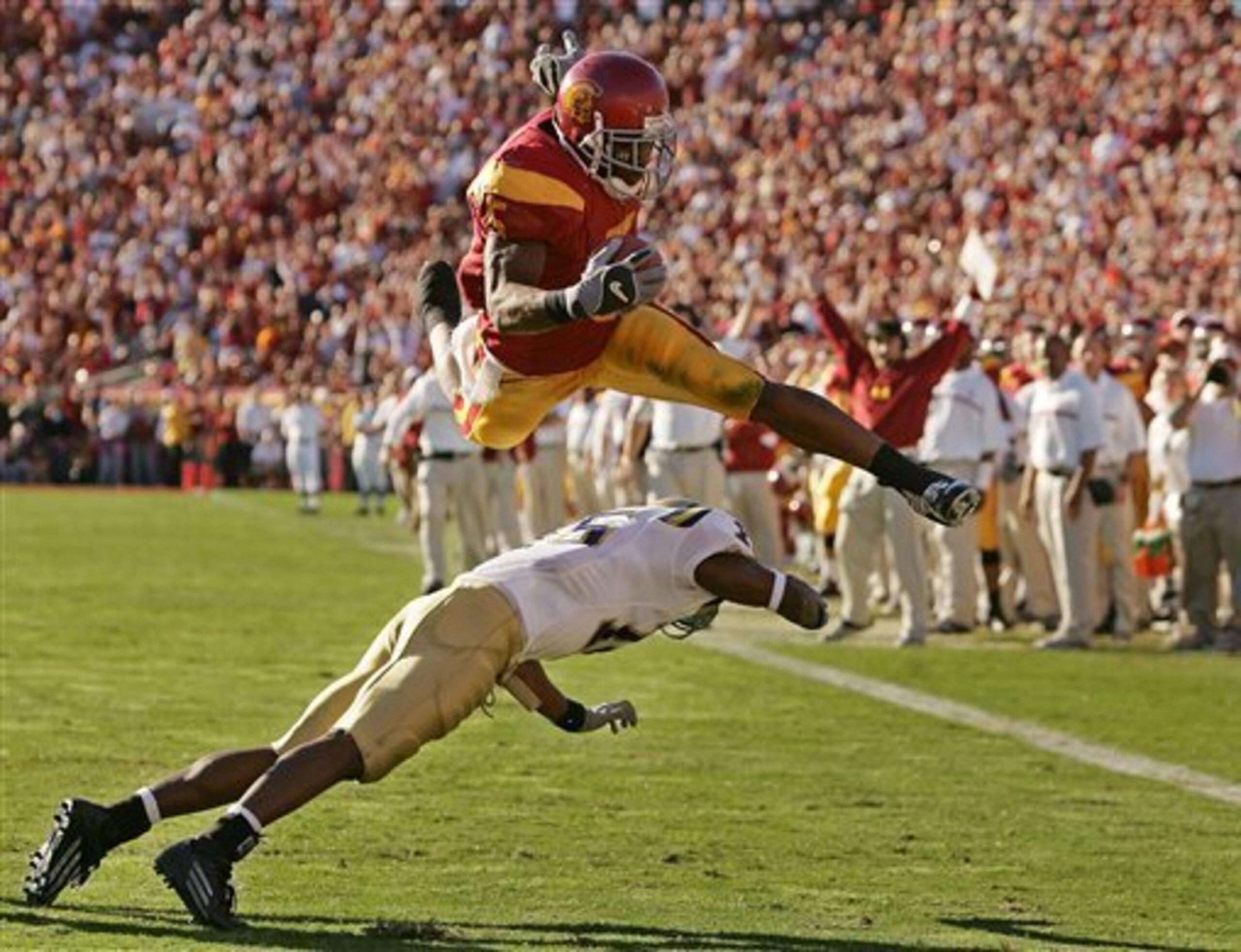 Reggie Bush