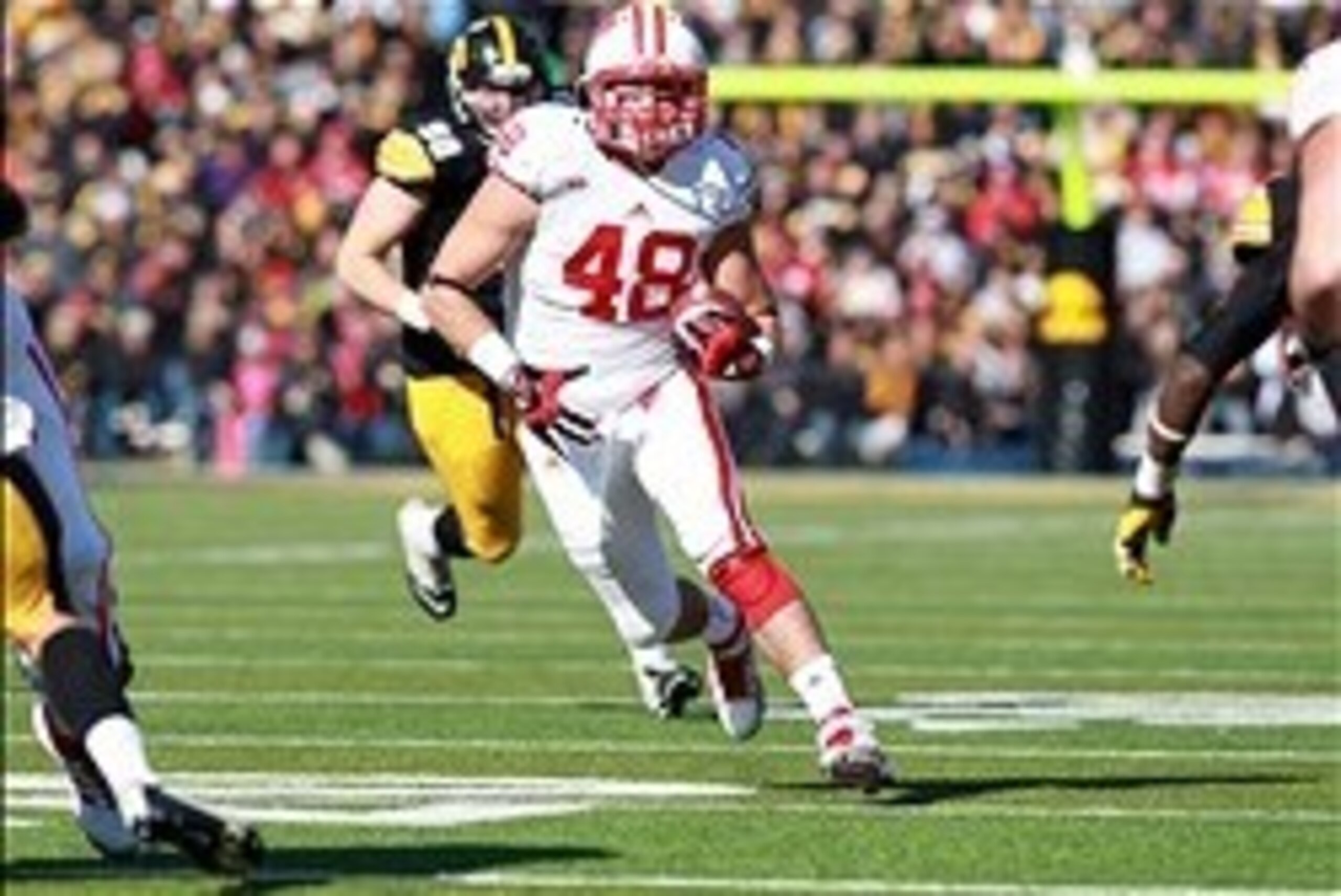 Nov 2, 2013; Iowa City, IA, USA;  Wisconsin Badgers tight end Jacob Pedersen (48) runs after the catch against the Iowa Hawkeyes at Kinnick Stadium.  Wisconsin beat Iowa 28-9.  Mandatory Credit: Reese Strickland-USA TODAY Sports