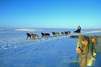 Scenes from the Iditarod dog-sledding race. Dog-sledding is no longer a sport in the Winter Olympic Games.