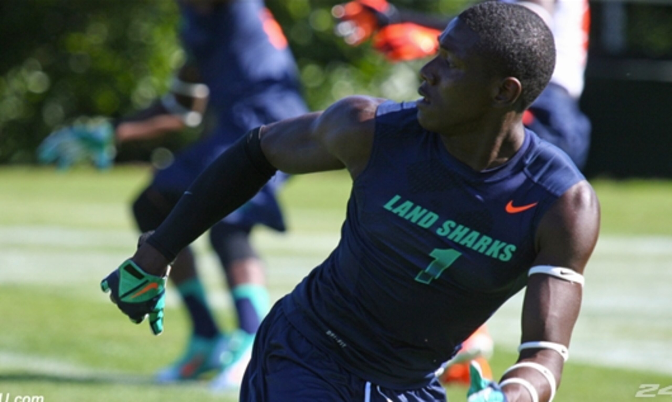 Will Lammons land with the Gamecocks? Will Lammons land with the Gamecocks?