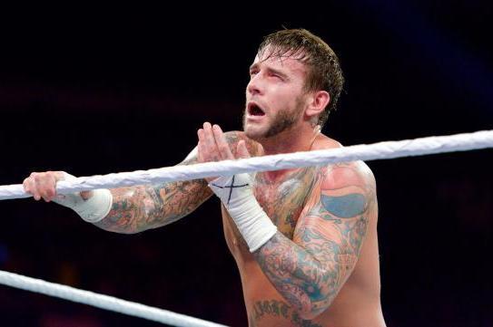 When will CM Punk be back in WWE?