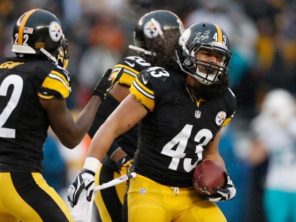 Troy Polamalu continued to be a dynamic playmaker while playing every defensive snap last season.