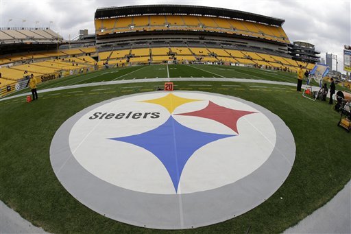 Pittsburgh will contend for the AFC North in 2014.