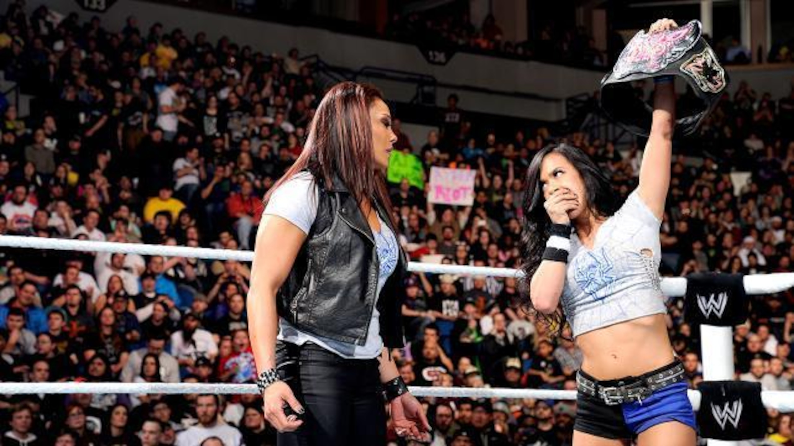 Despite being disqualified, AJ Lee remains the Divas Champion.
