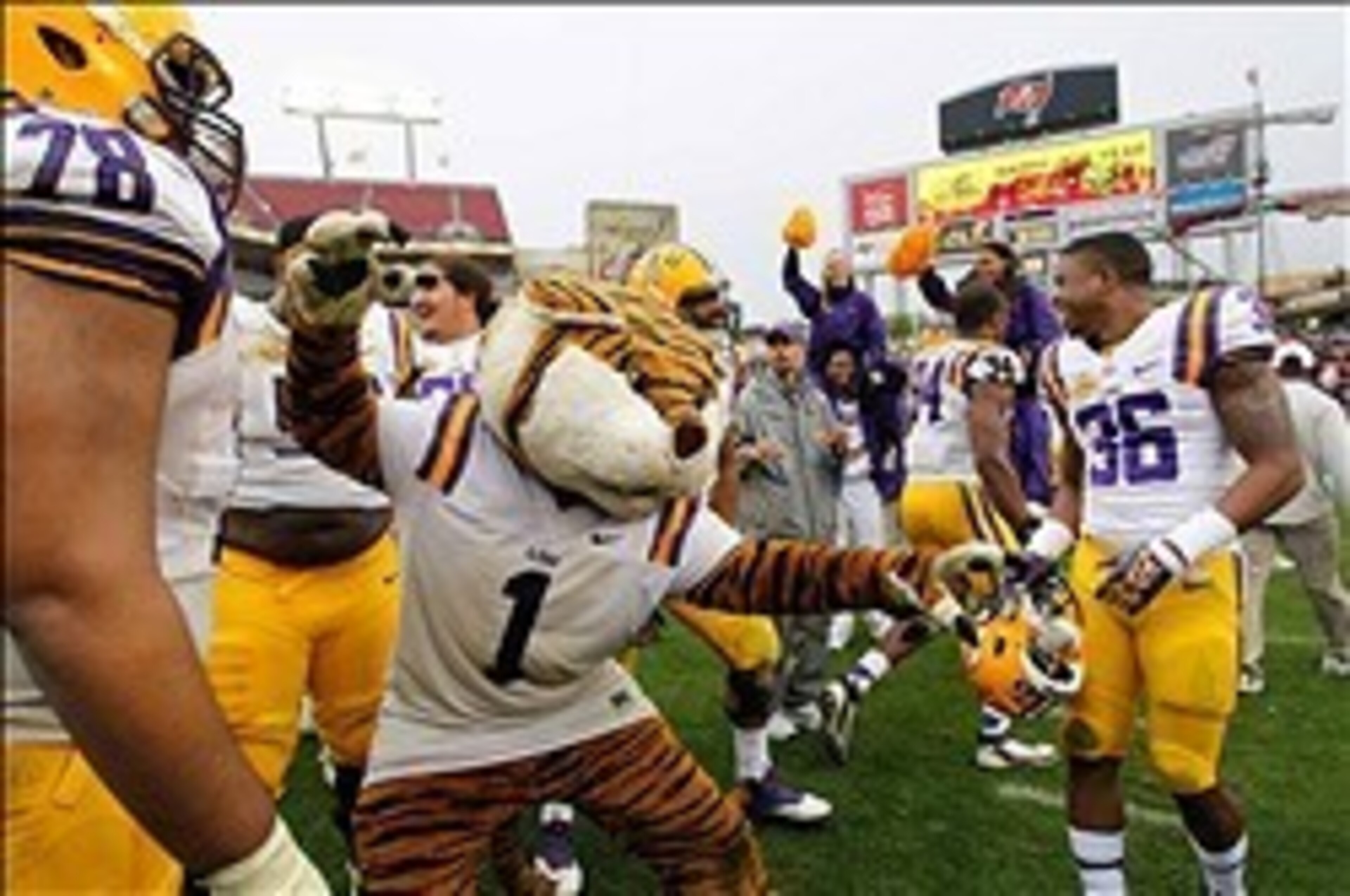 The Tigers better not let their guard down against the Wildcats.