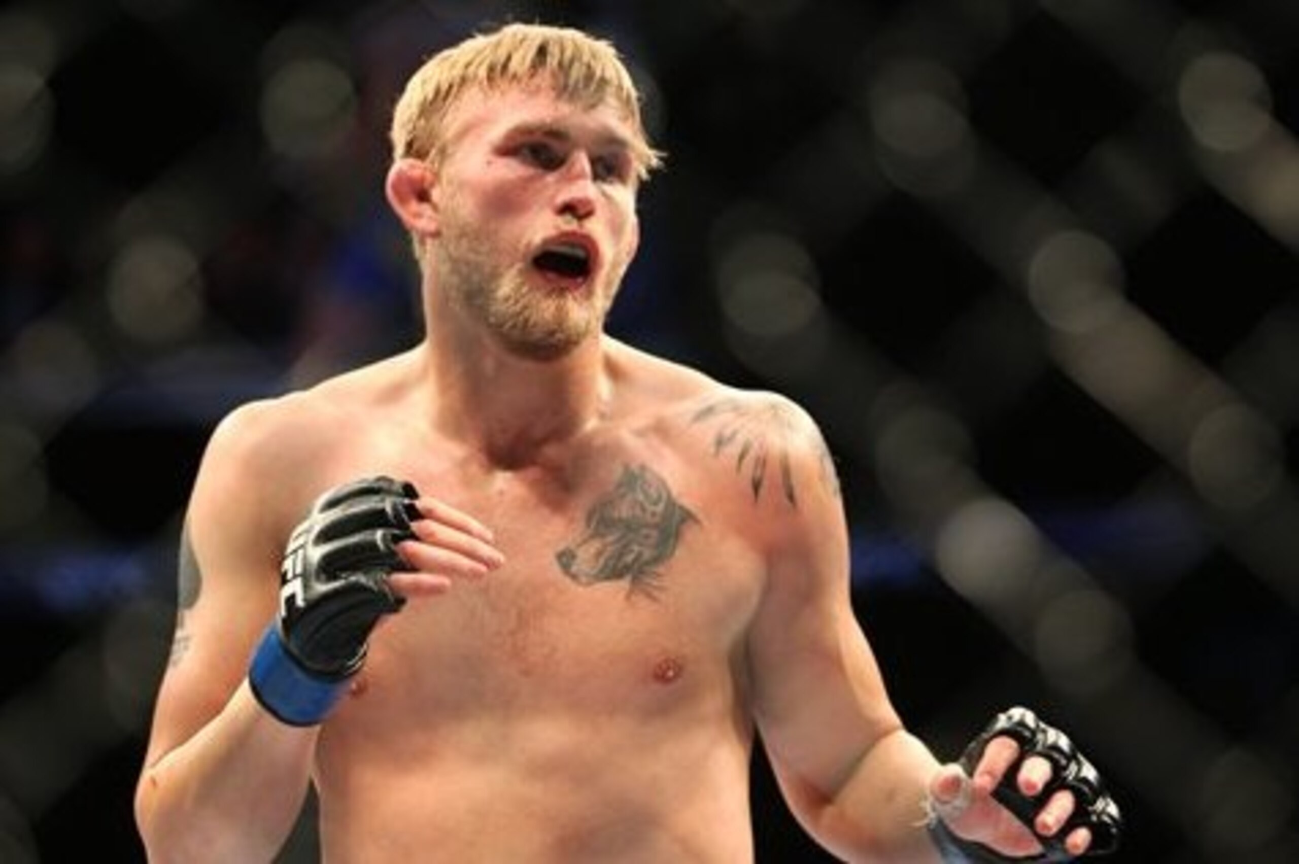 Alexander Gustafsson