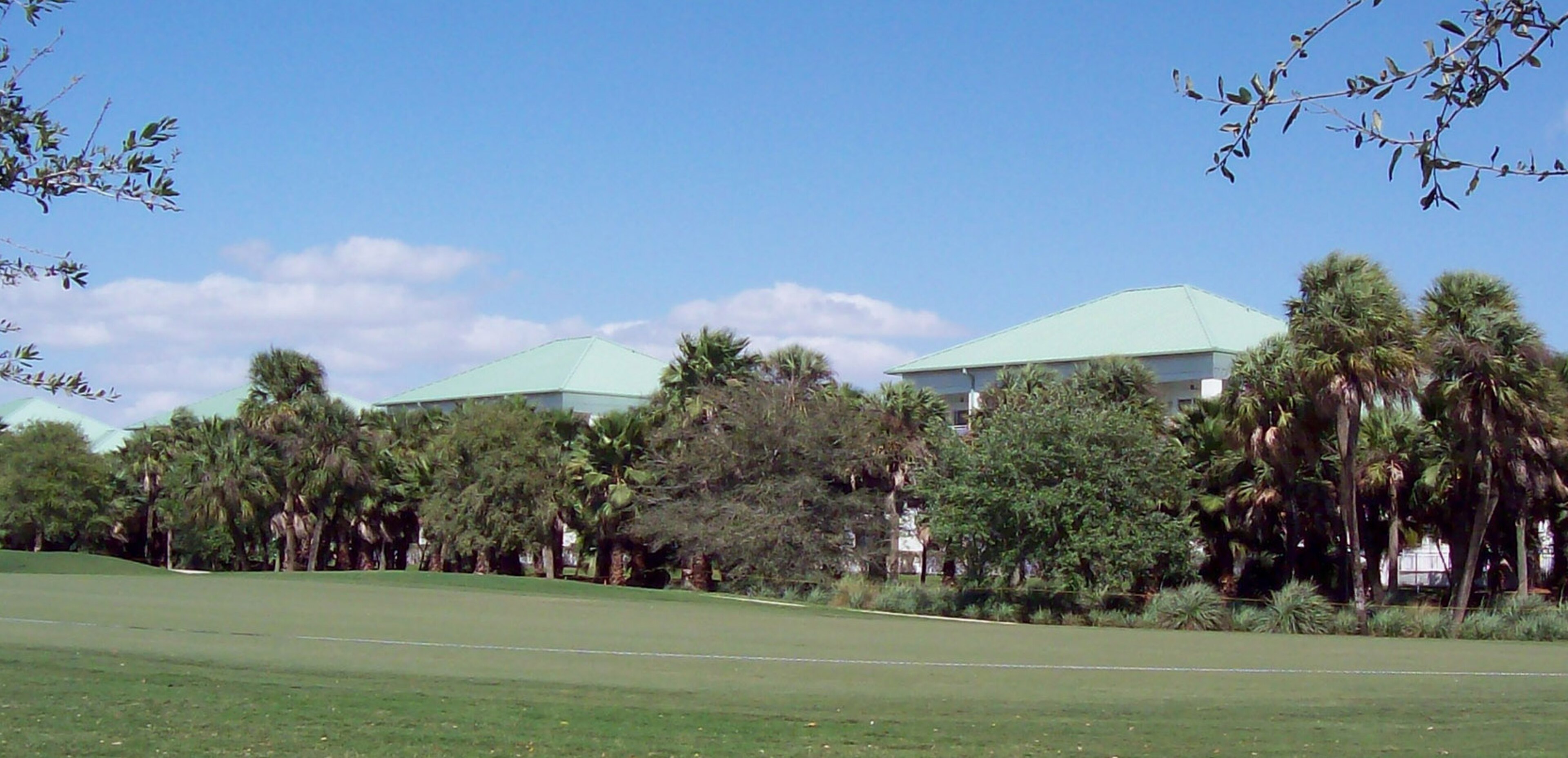 Condos that lined the 12th fairway obscured by new plantings.