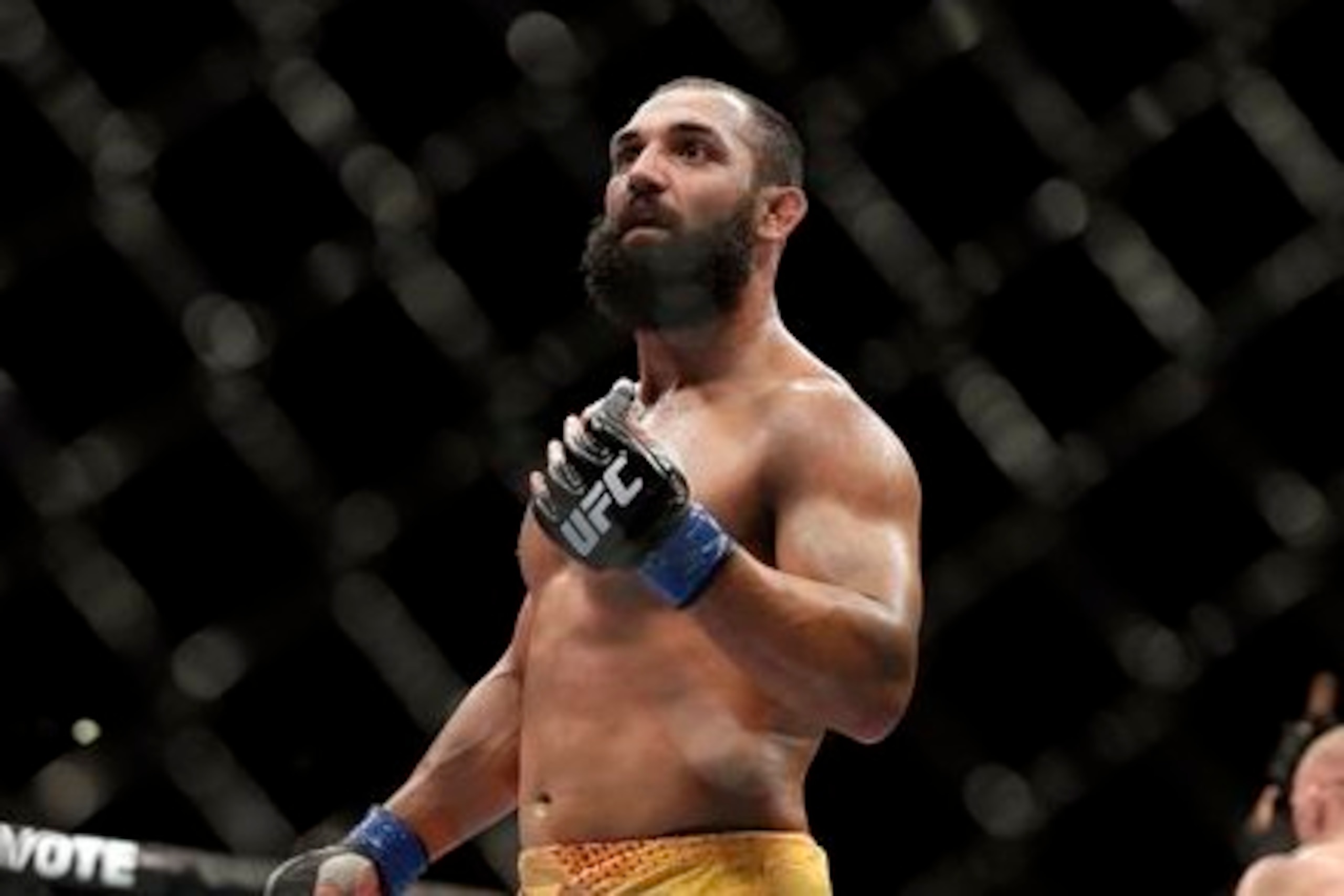 Johny Hendricks at UFC 167
