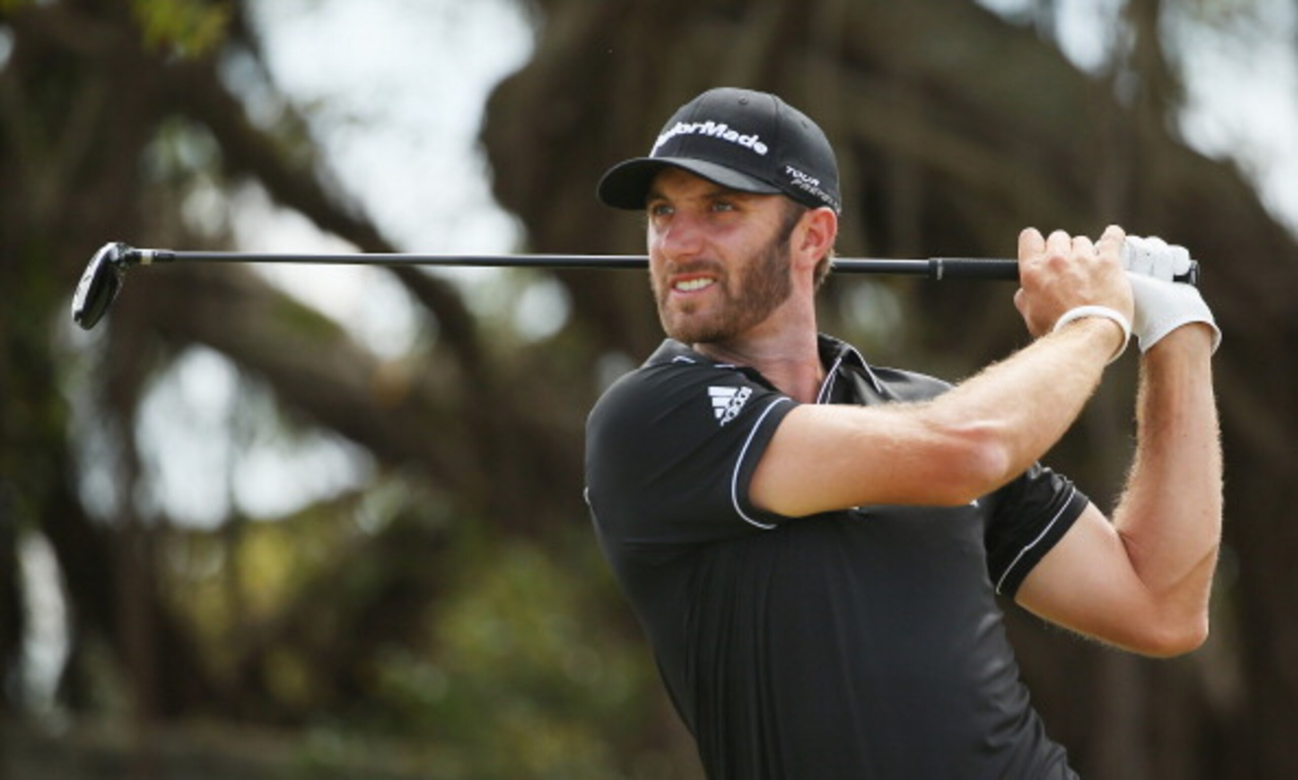 Dustin Johnson is having a very good year.