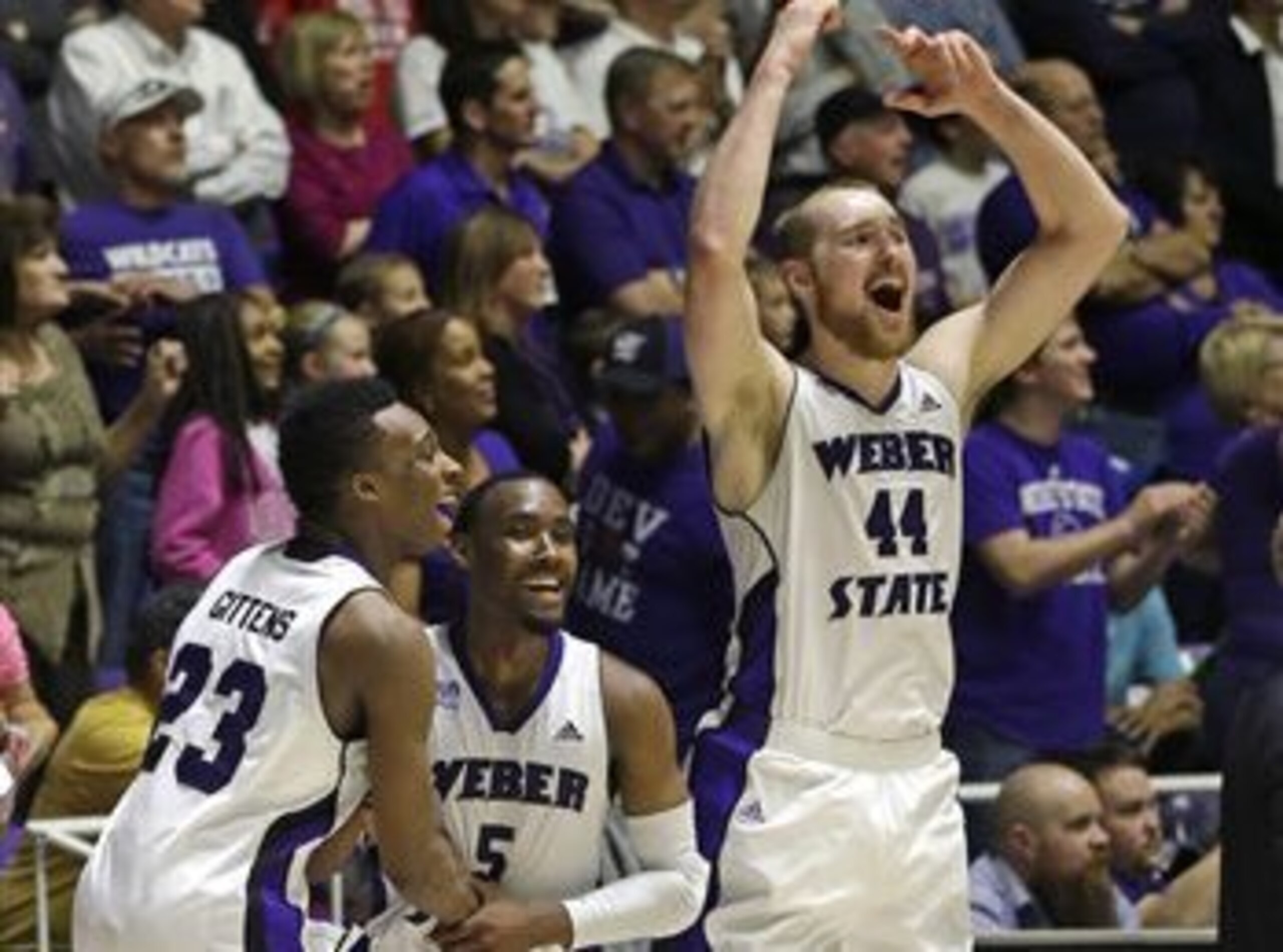 Weber State: it could happen.