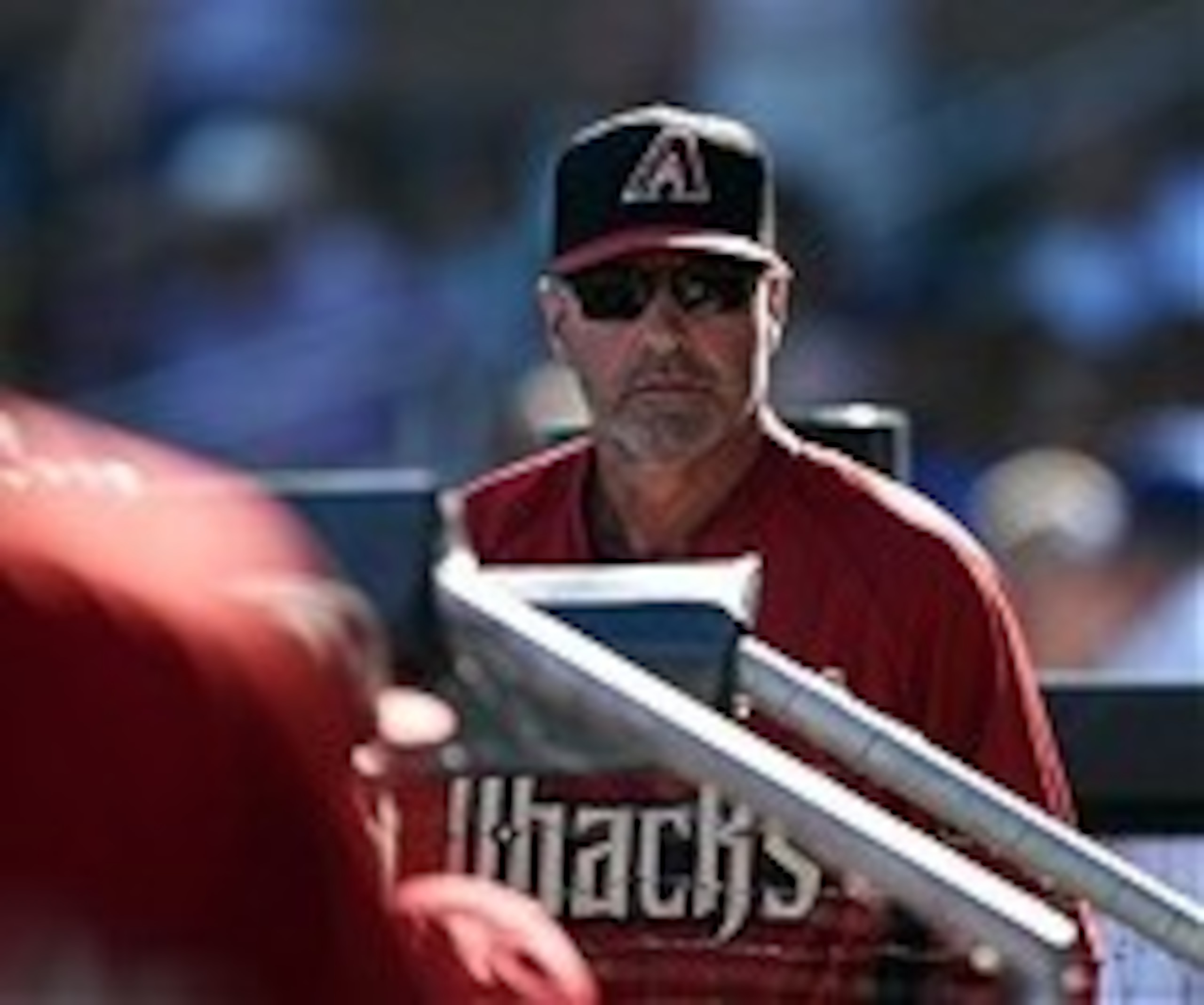 The 2014 season could lead to more grey hair for Kirk Gibson.