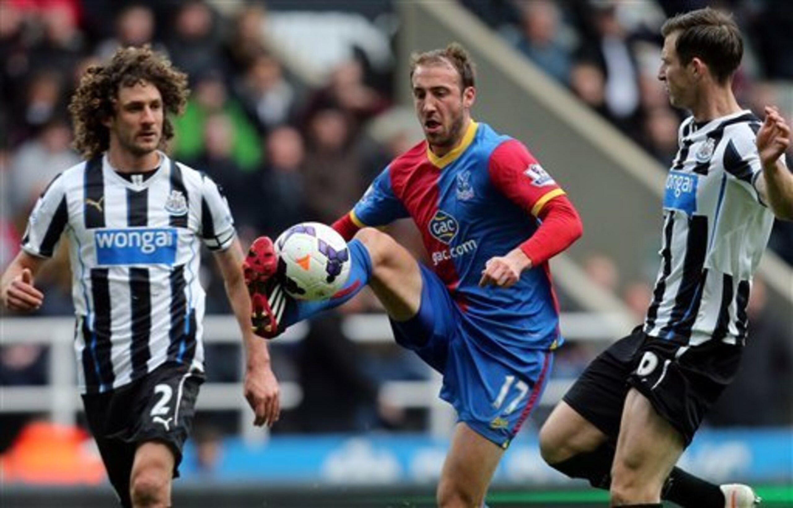 Fabricio Coloccini (left) and Mike Williamson (right) Fabricio Coloccini (left) and Mike Williamson (right)