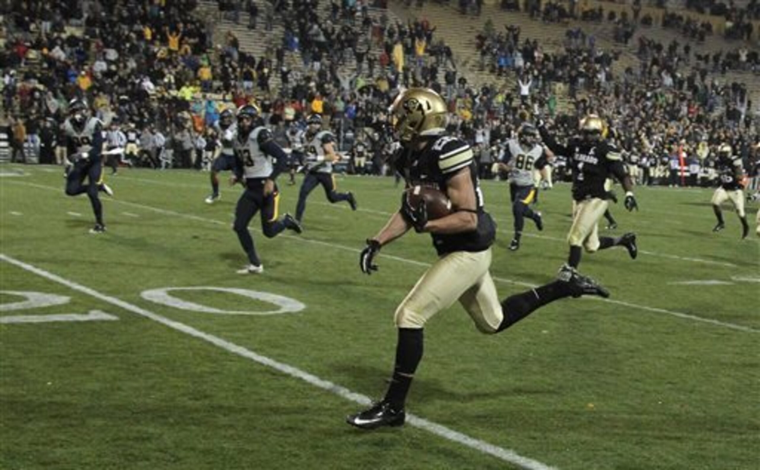 WR Nelson Spruce