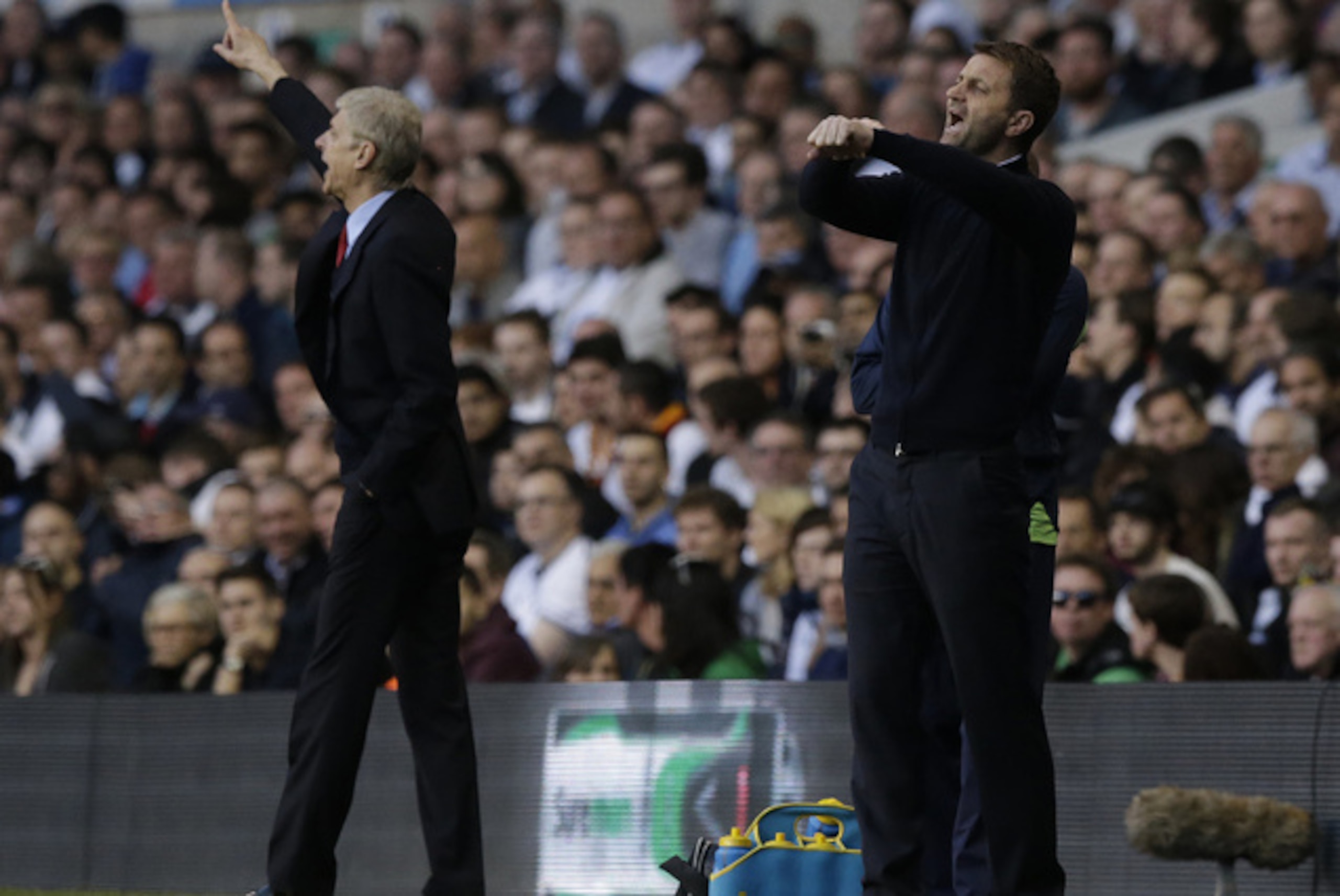 Sherwood remonstrates with officials in the recent North London derby defeat at home to Arsenal.