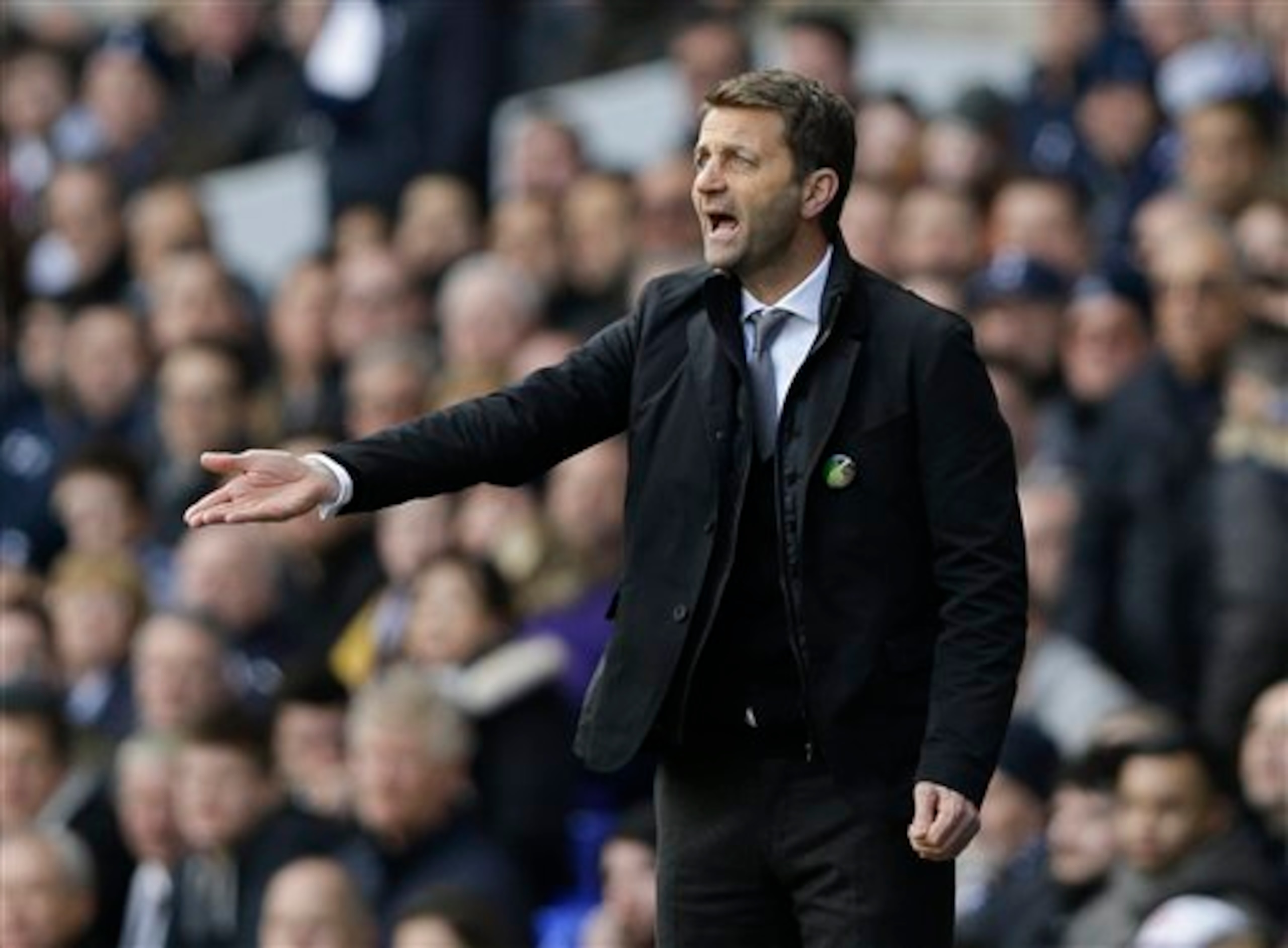 Spurs manager Tim Sherwood has come under criticism of late for his aggressive approach to management.