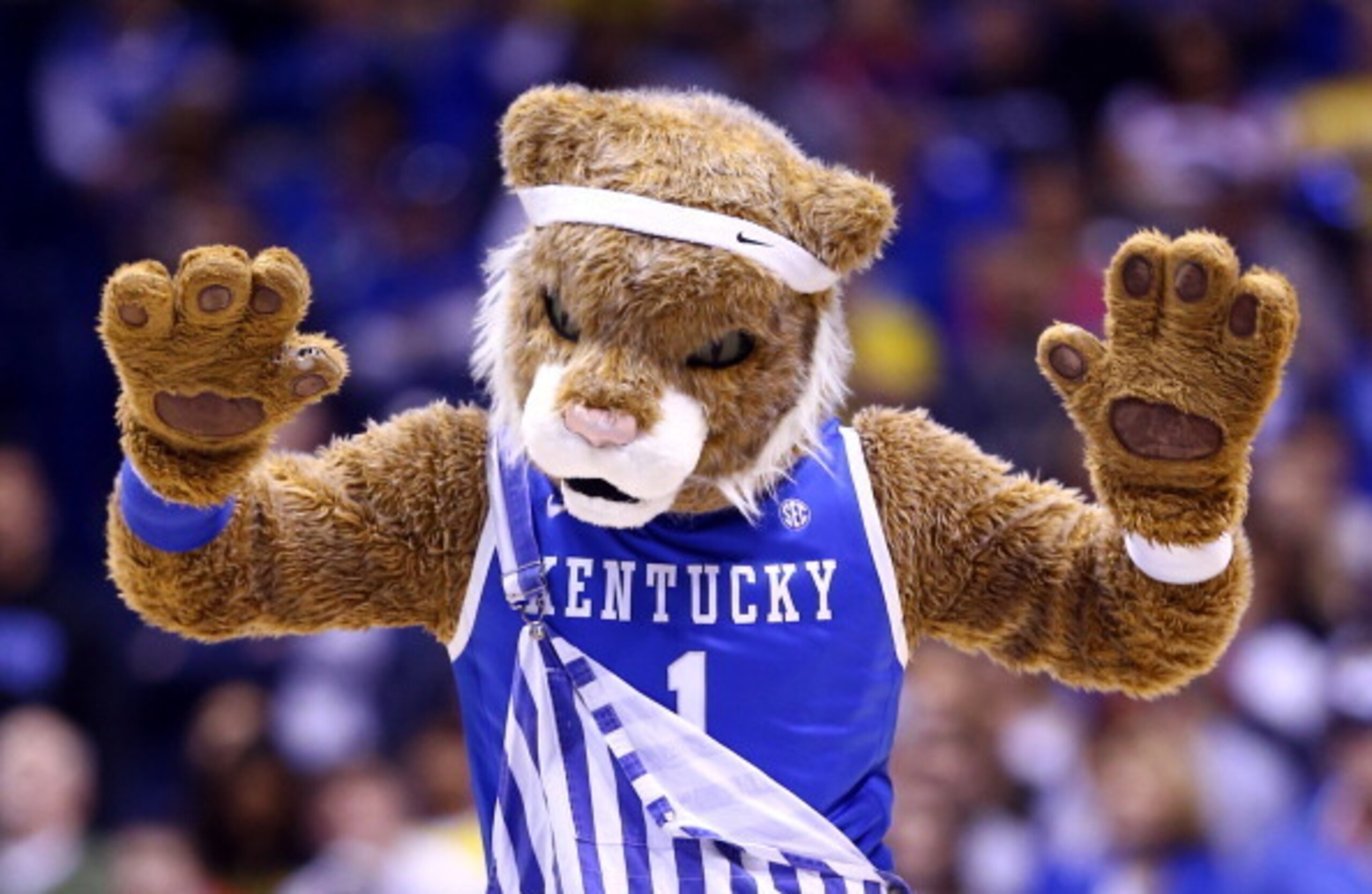 Double high-fives are in order for the Kentucky mascot, and the team, after advancing to the Final Four as a No. 8 seed.