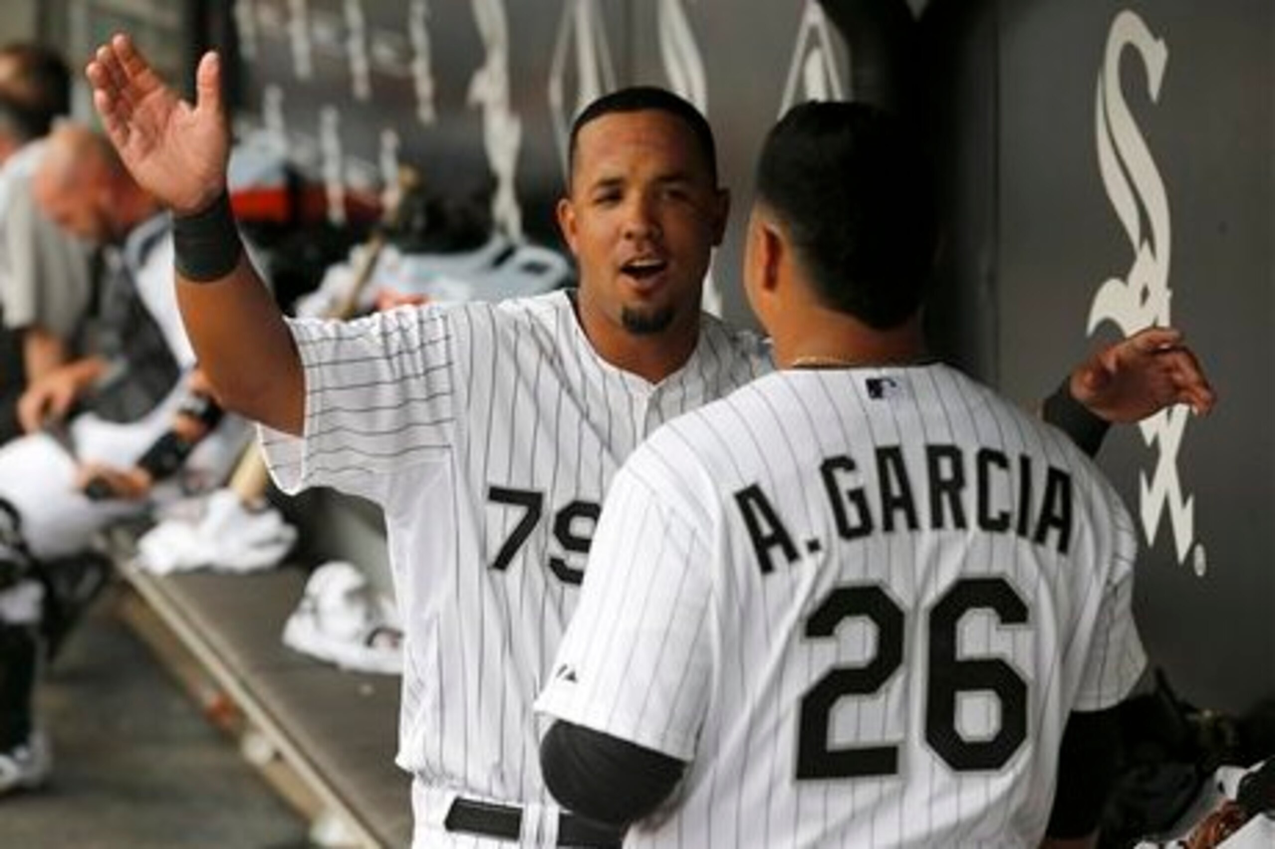 Jose Abreu and Avisail Garcia are both keys to any success the White Sox find this season.
