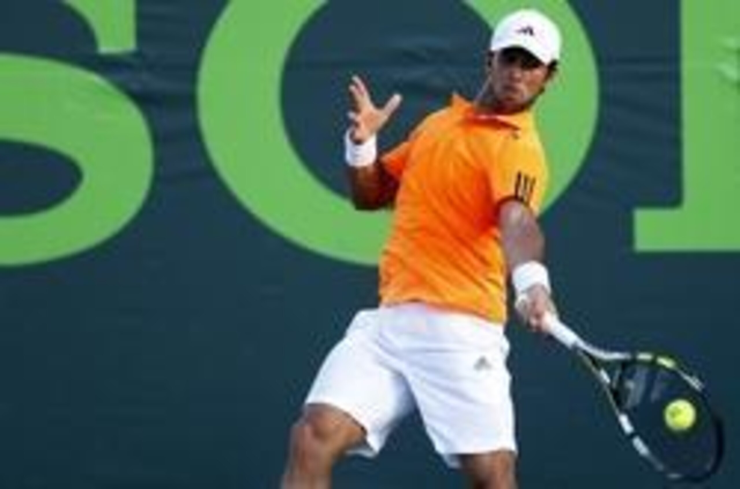 Fernando Verdasco