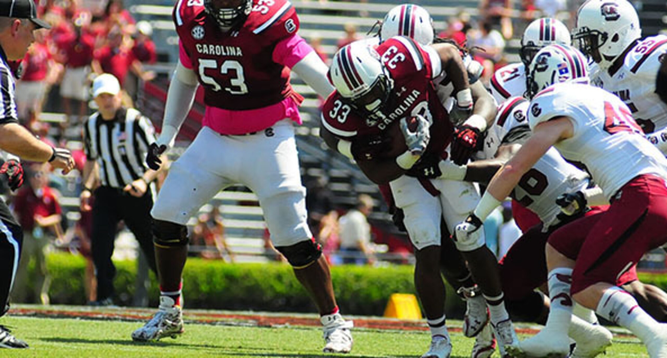 South Carolina tailback David Williams (No. 33) scored two touchdowns in the spring game.