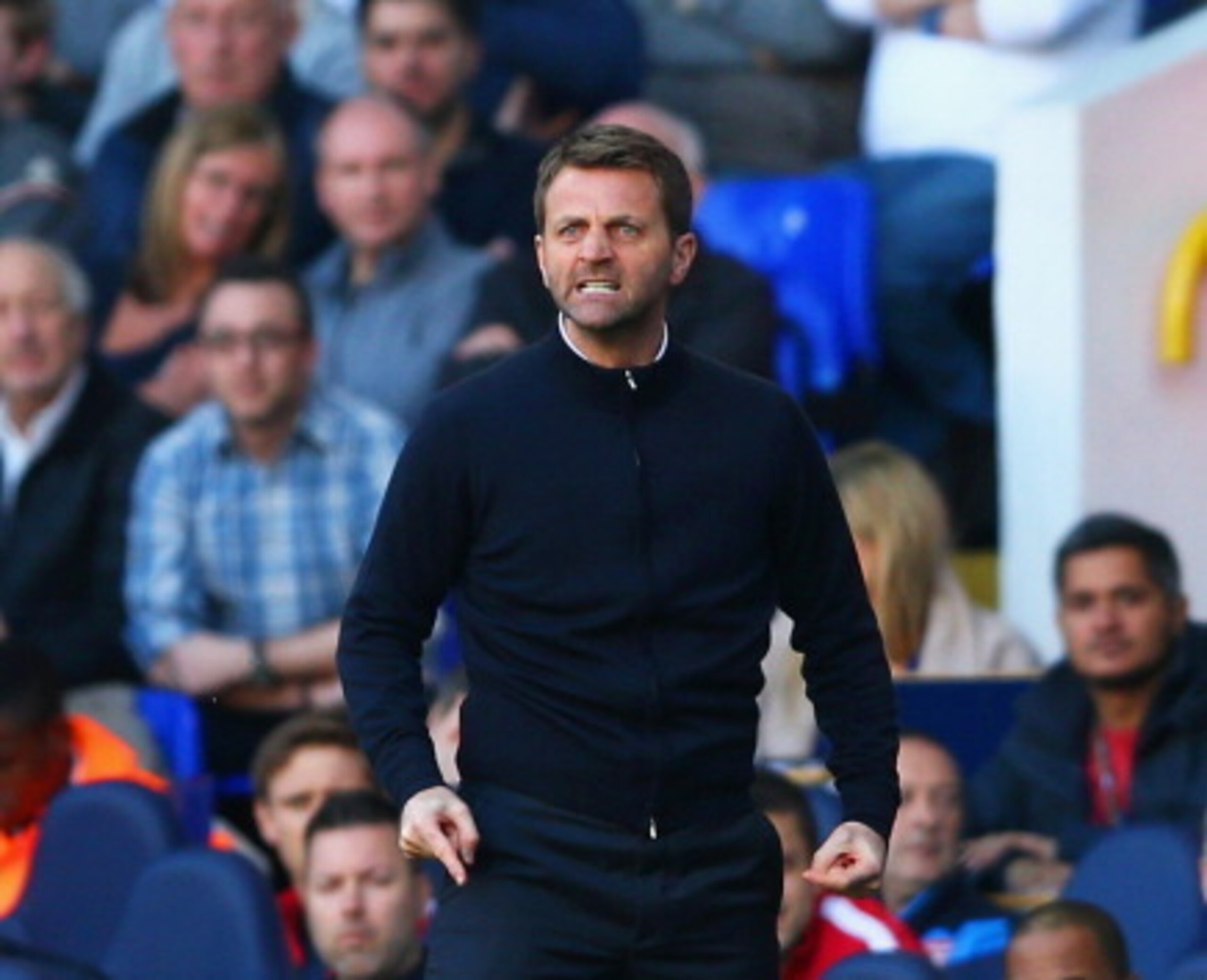 Sherwood was not best pleased during Spurs' north London derby loss.