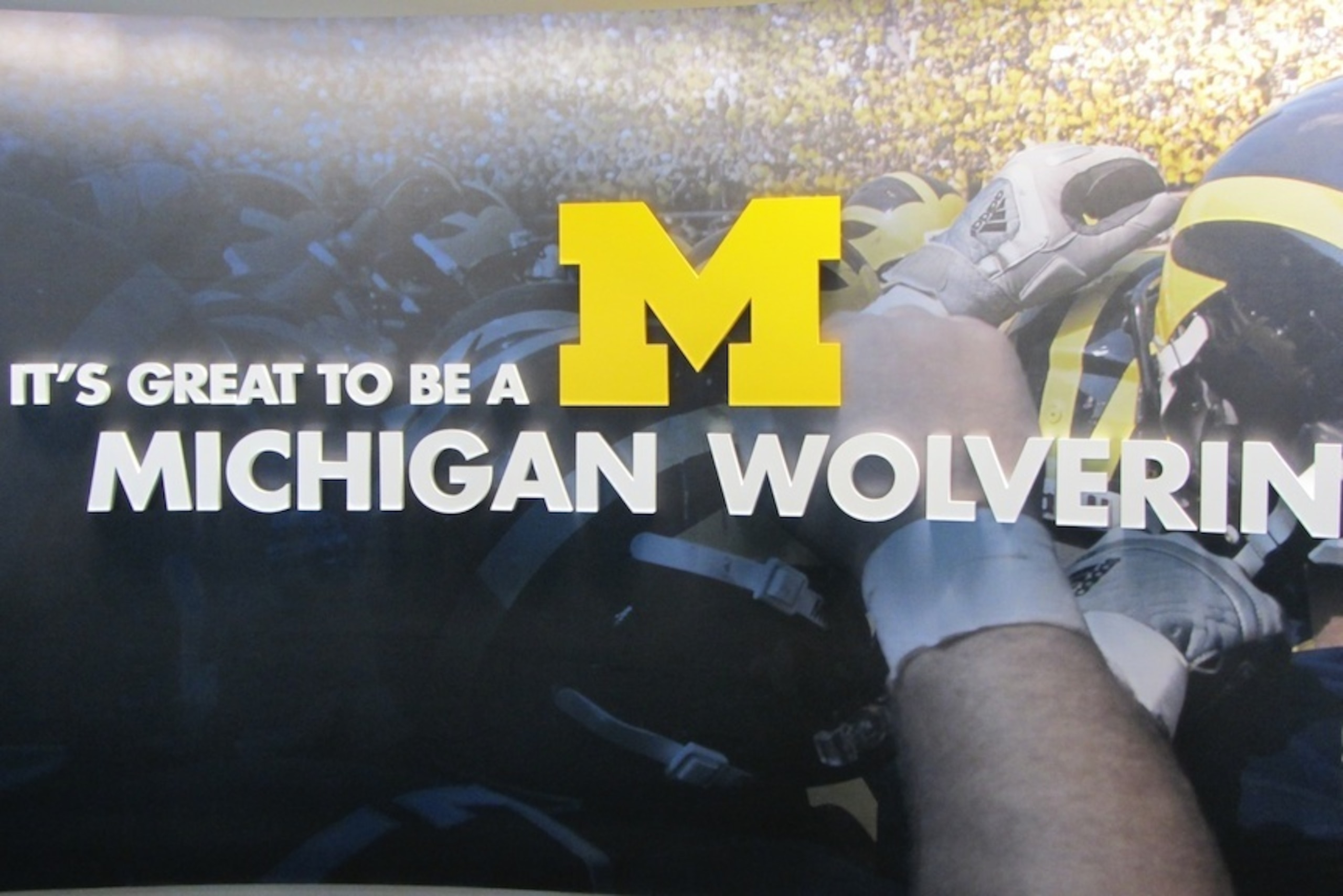 Michigan Football
