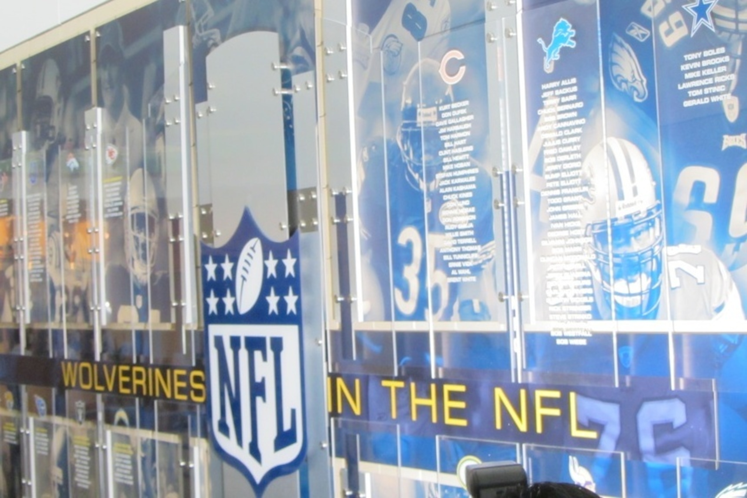 Michigan's players who played in the NFL
