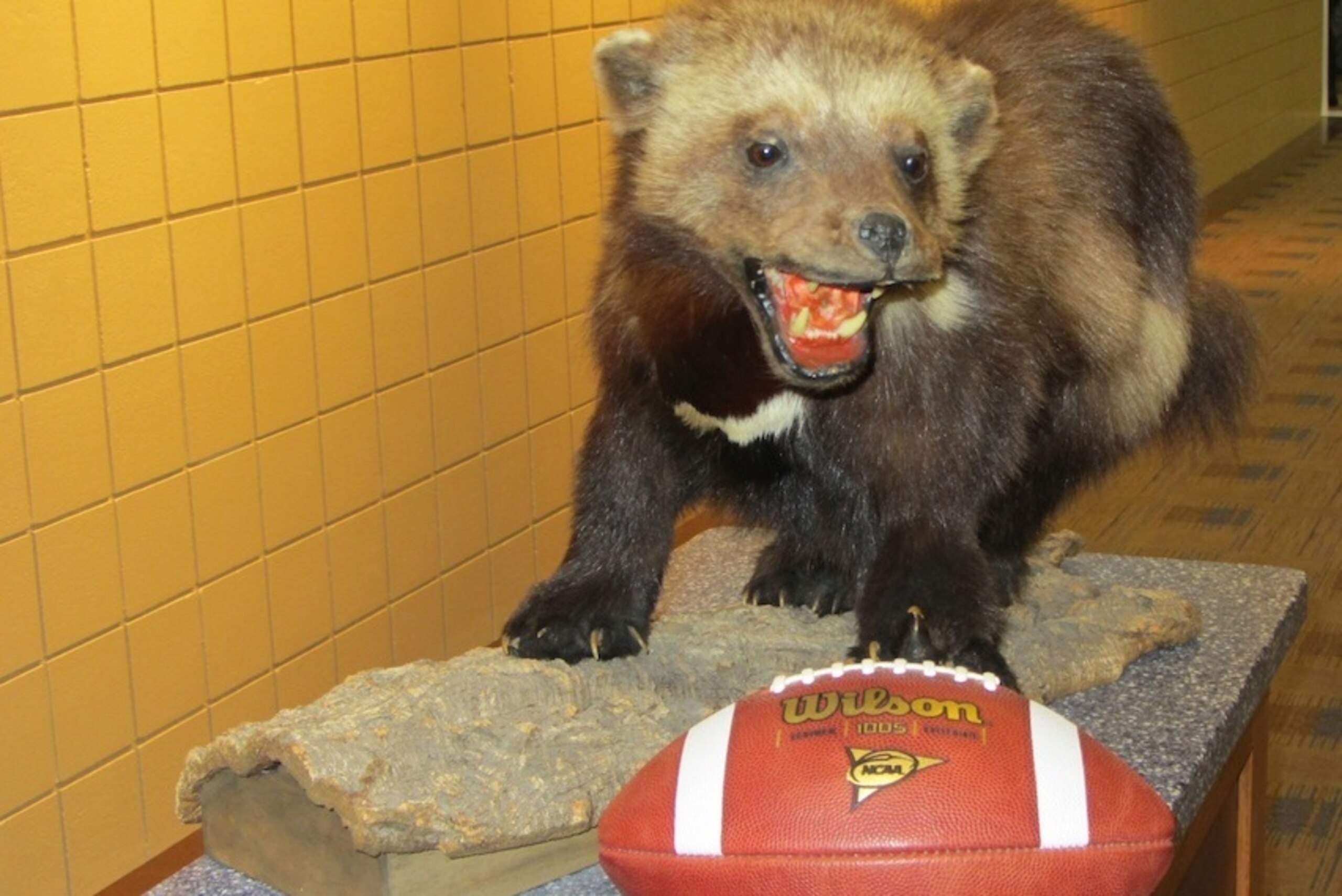 Michigan's mascot