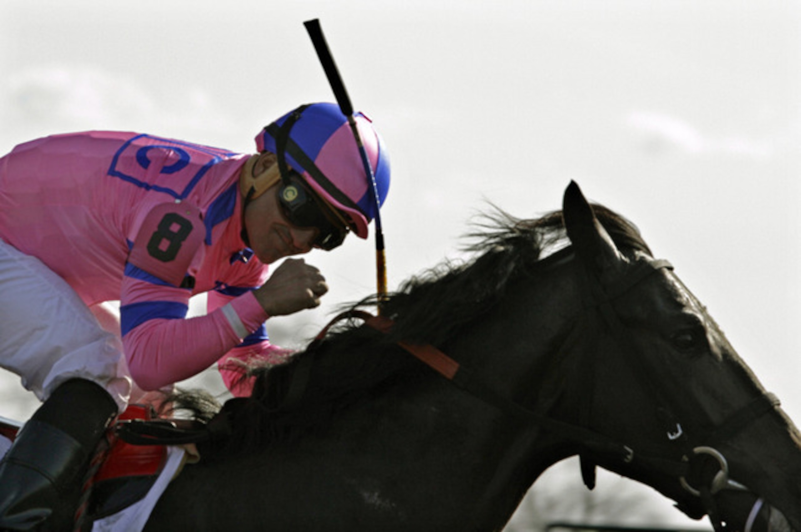 Dance With Fate winning the Bluegrass Stakes.