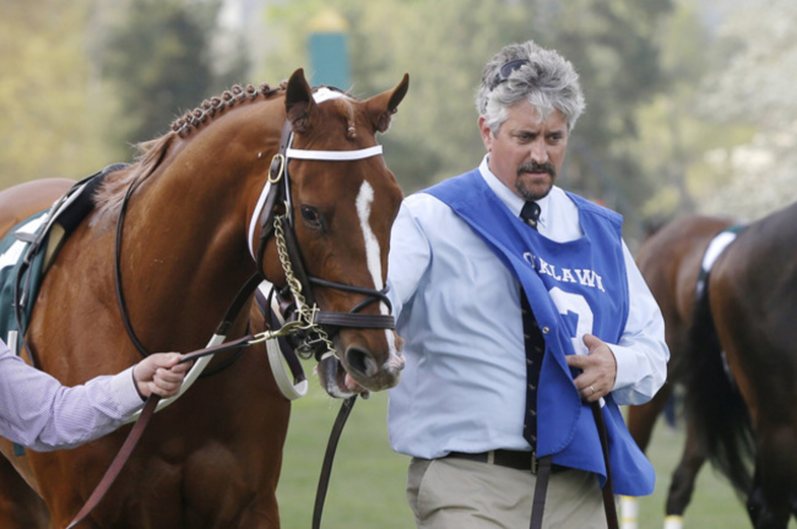 Tapiture with trainer Steve Asmussen