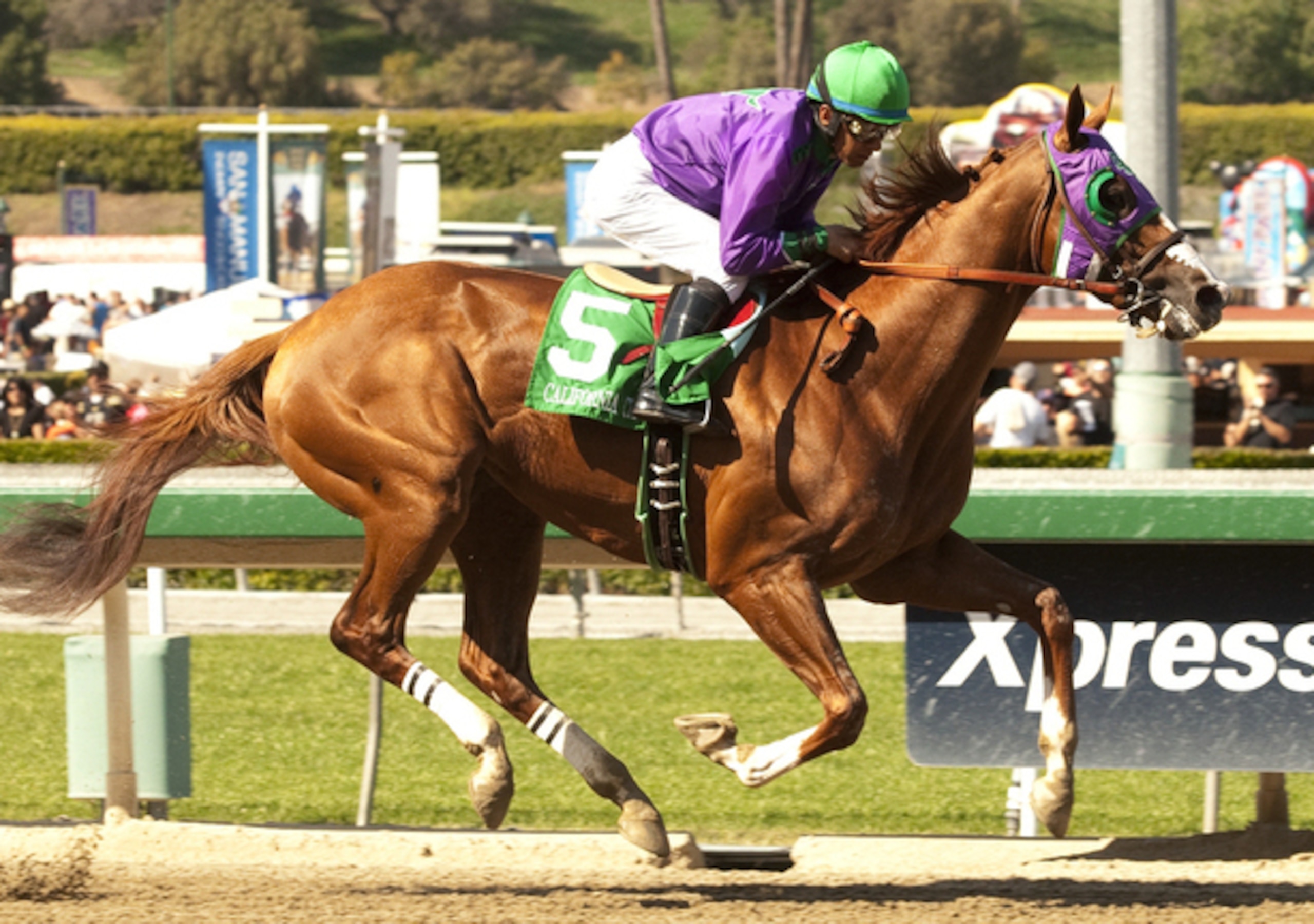 California Chrome romping in the Santa Anita Derby