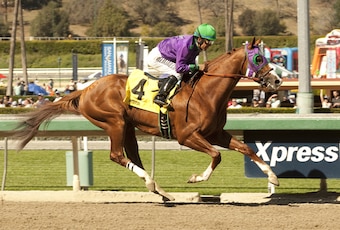 California Chrome could run a blazing fast time.